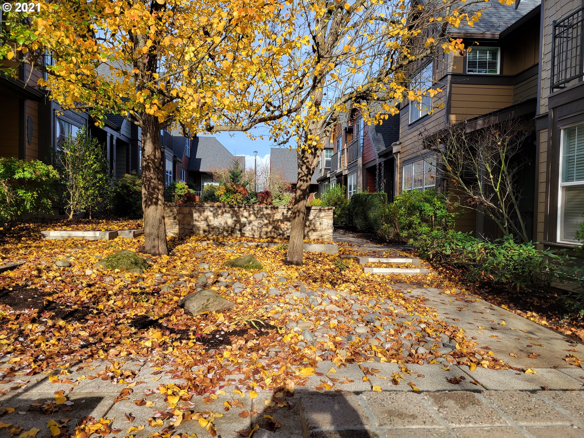 Photo #5: 21059942 Listing 