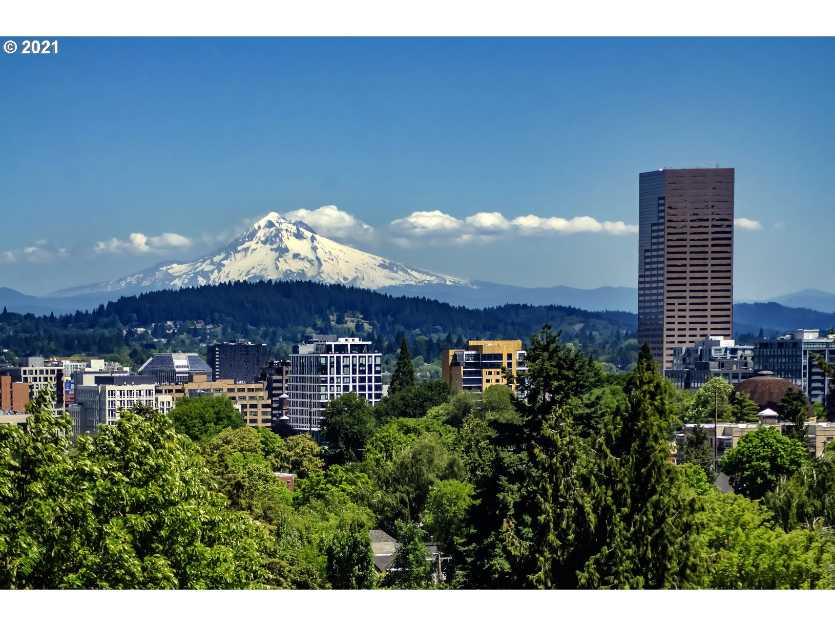 Photo #2: 21083418 Listing 