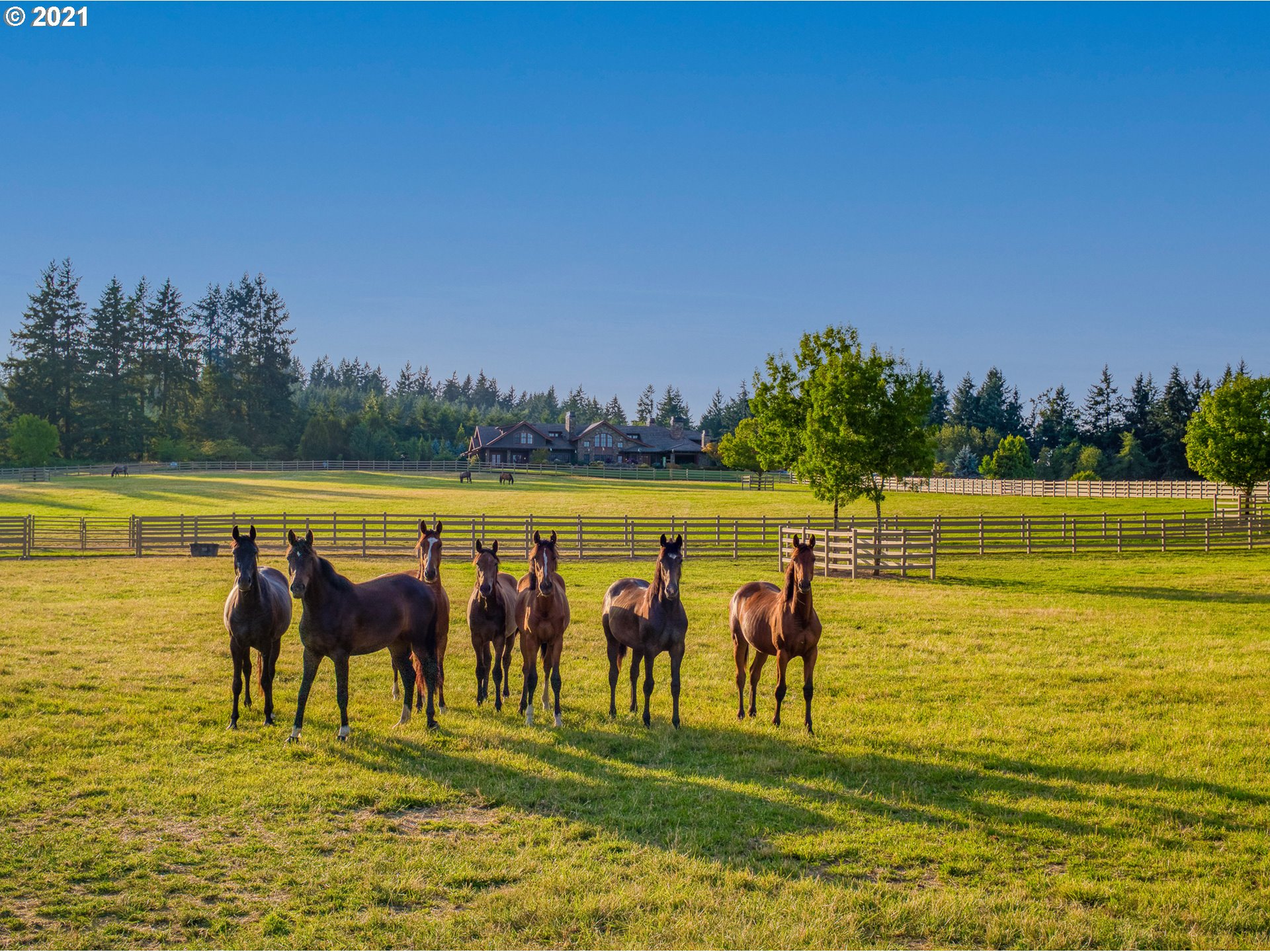World-class 176ac equine breeding and training facility w/stunning 9,855sf owner's residence. State-of-the-art facilities w/indr and outdr arenas, pastures, 4 barns, 80+ stalls w/attached runs, vet lab, farrier rms and wash racks. Main res has infinity pool, outdoor living, grmt kit, add'l detach garage w/priv office plus add'l homes for staff. Fenced and gated. Exceptional equestrian lifestyle opportunity! Subj to partition.