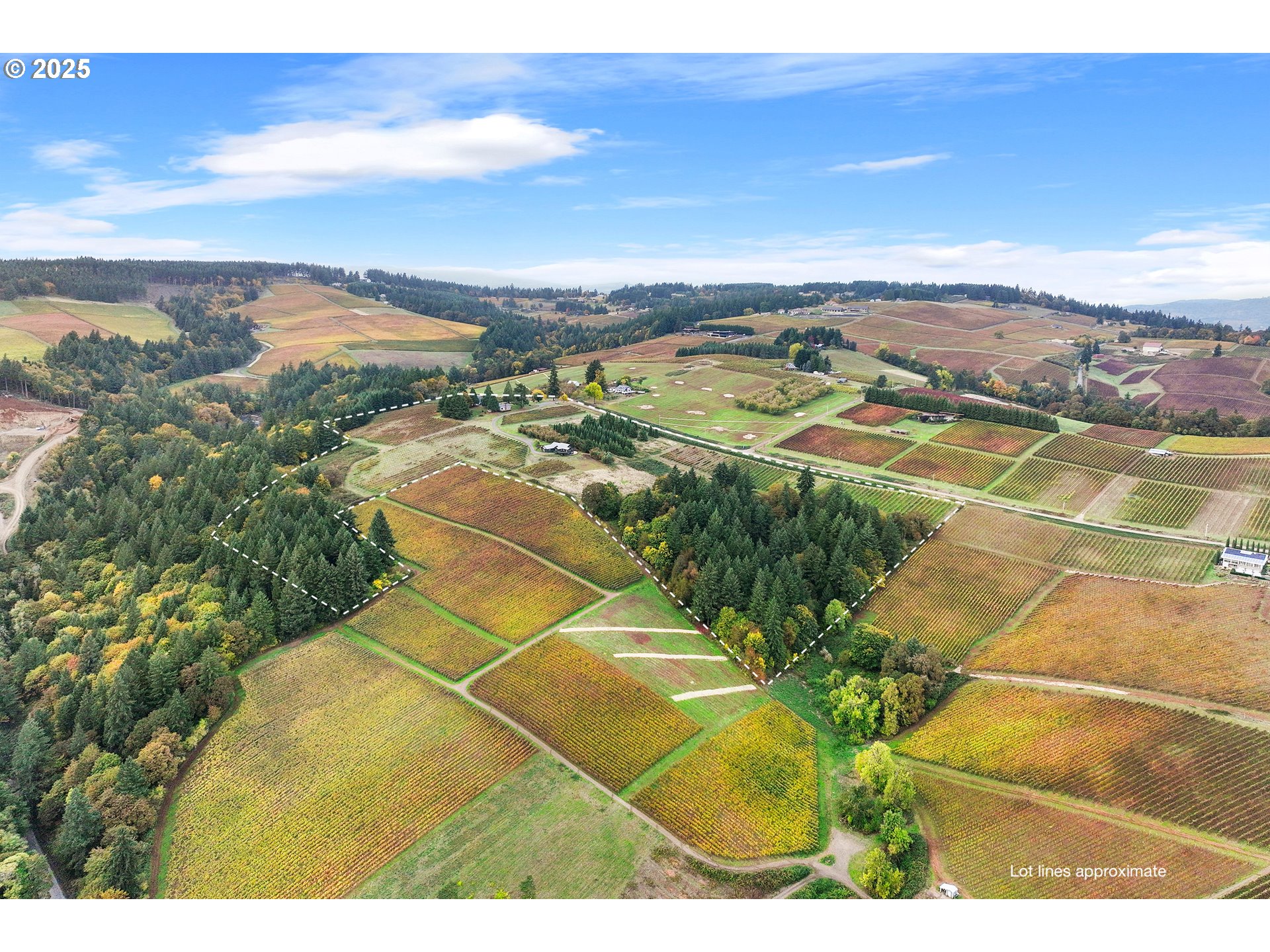 9325 NE WORDEN HILL RD, Dundee, OR, 97115