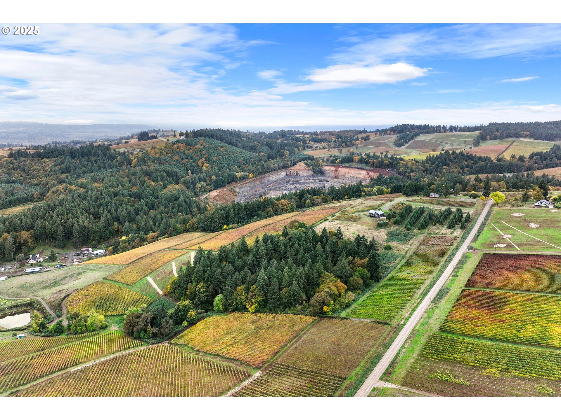 9325 NE WORDEN HILL RD, Dundee, OR, 97115