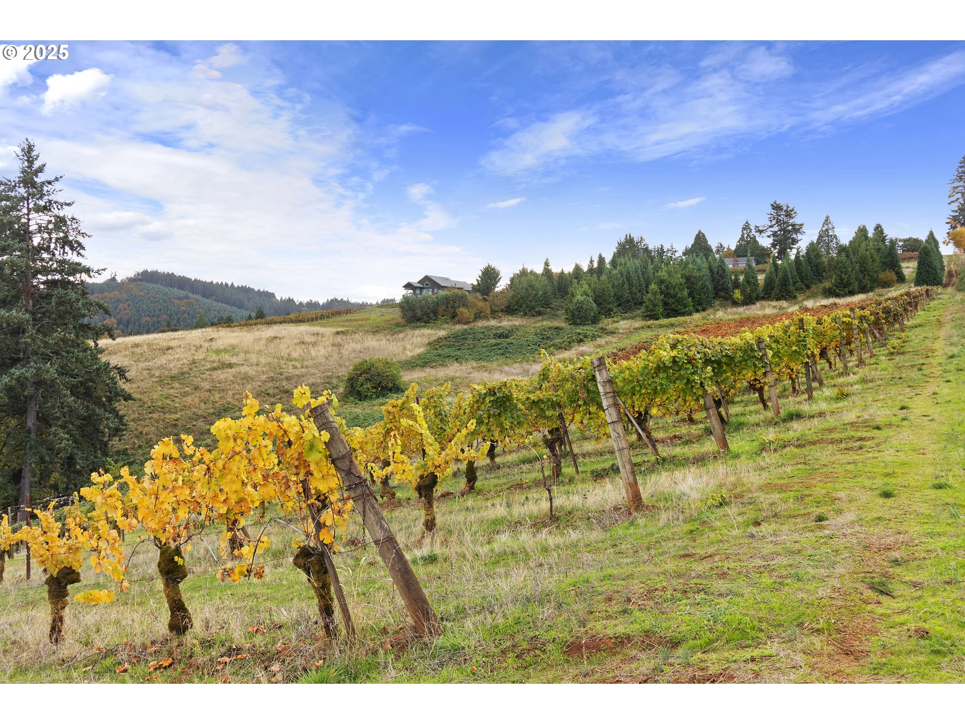 9325 NE WORDEN HILL RD, Dundee, OR, 97115