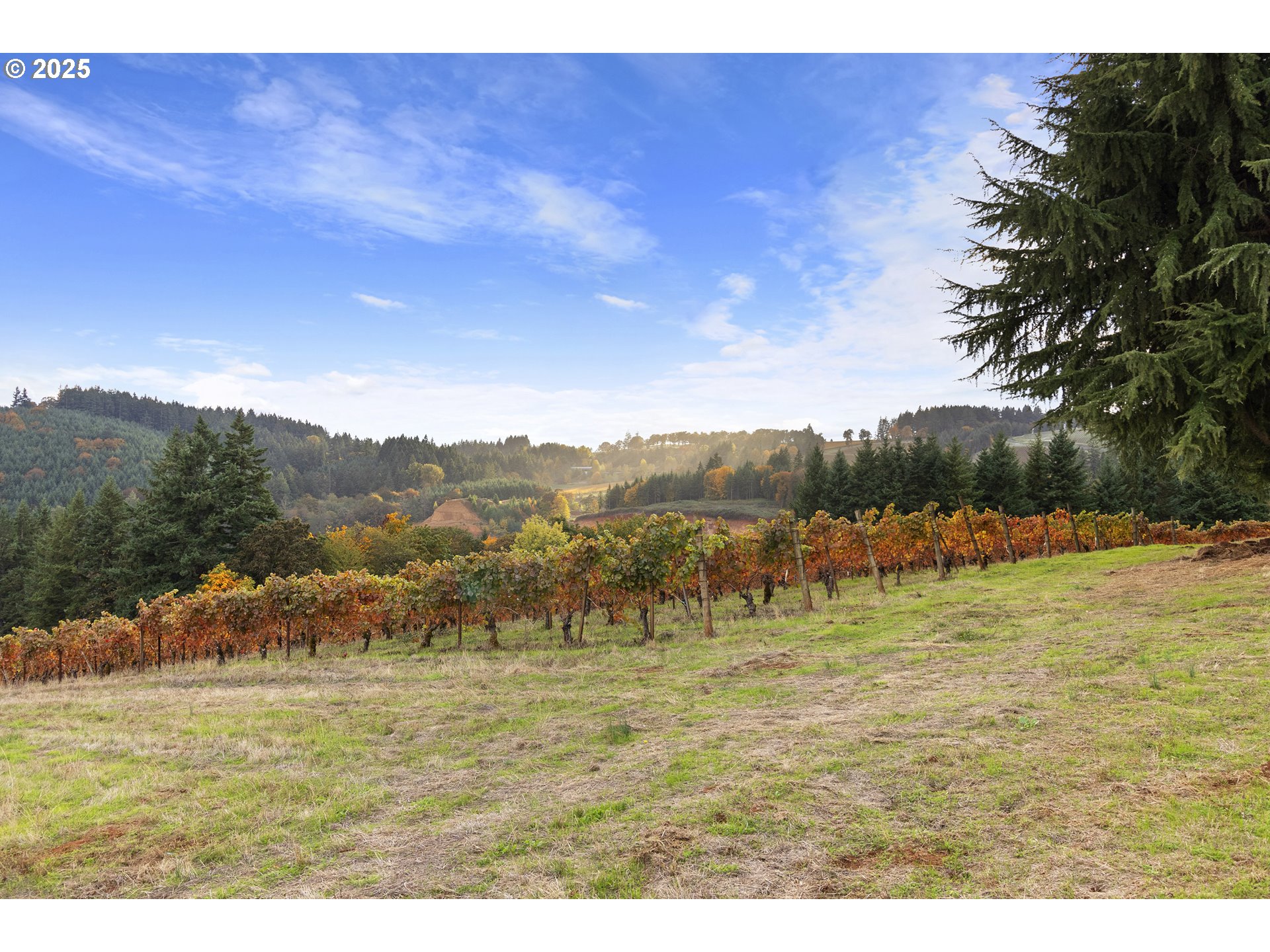 9325 NE WORDEN HILL RD, Dundee, OR, 97115