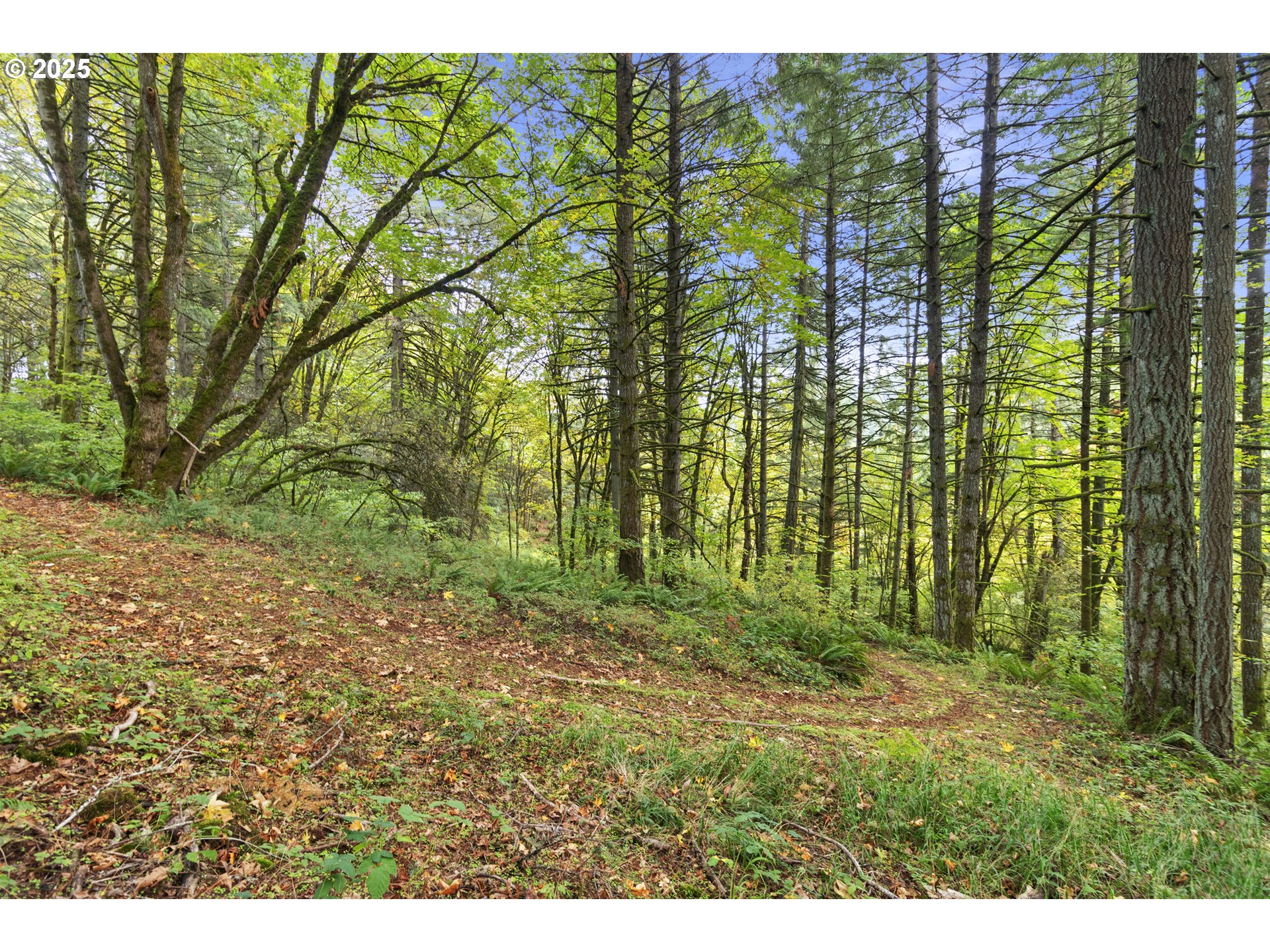 9325 NE WORDEN HILL RD, Dundee, OR, 97115