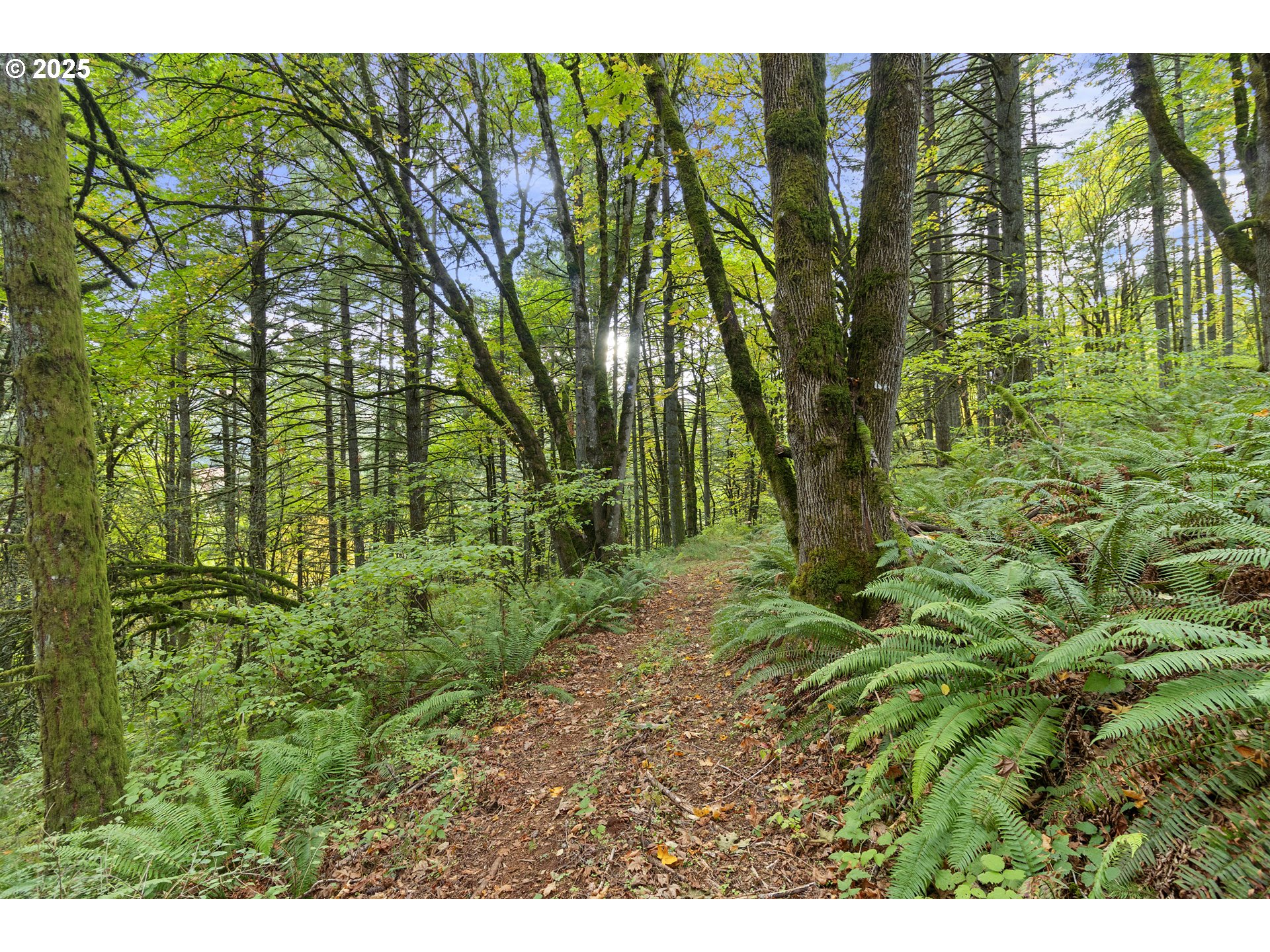9325 NE WORDEN HILL RD, Dundee, OR, 97115