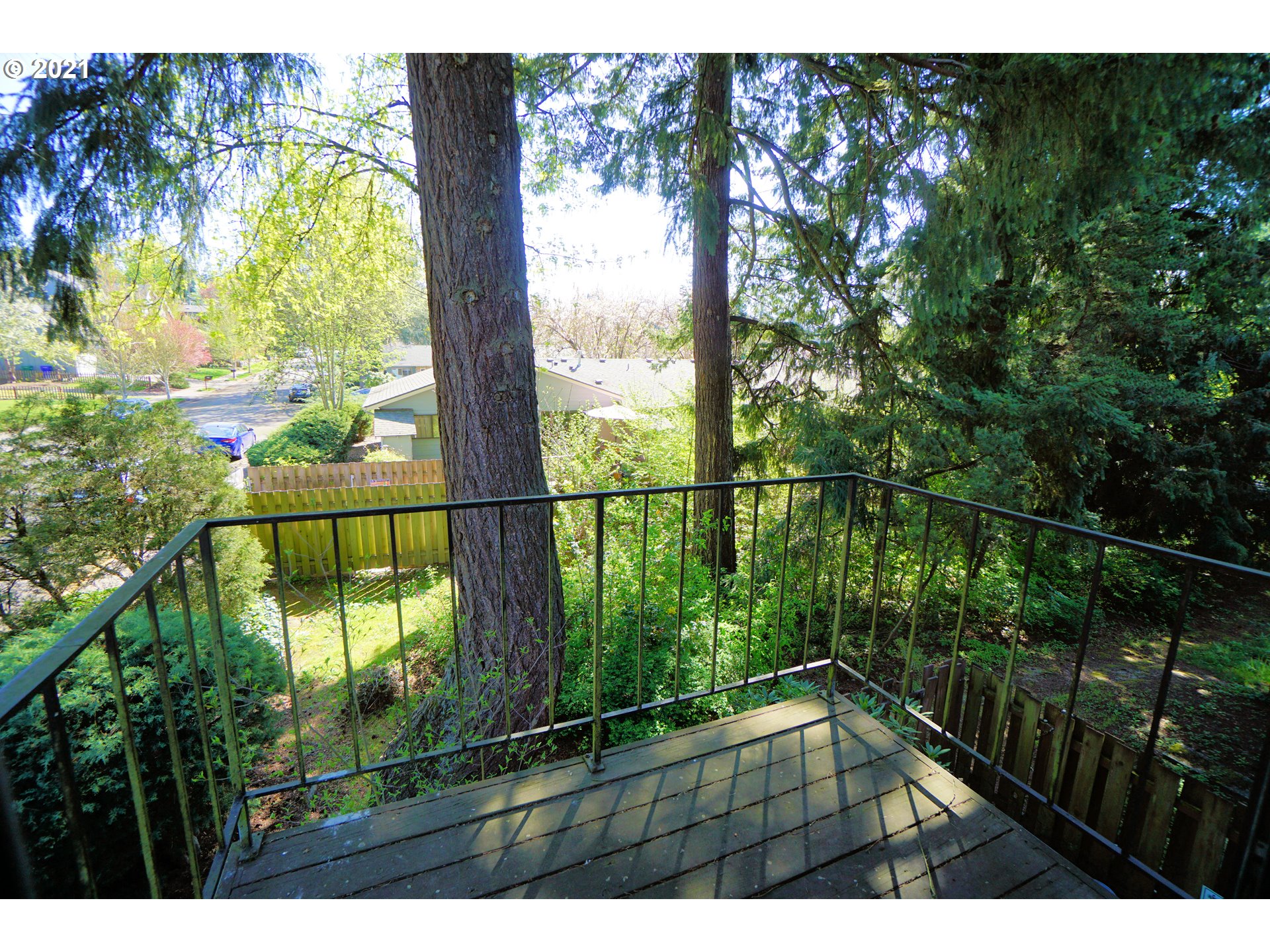 Photo #5: 21203102 Listing 