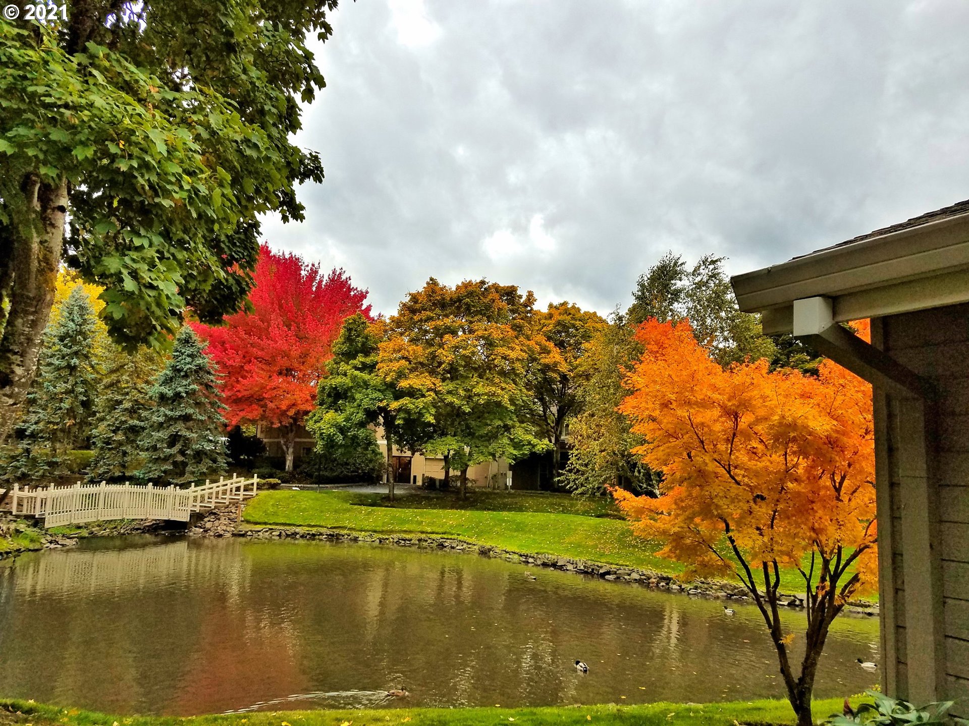 Photo #4: 21209632 Listing 