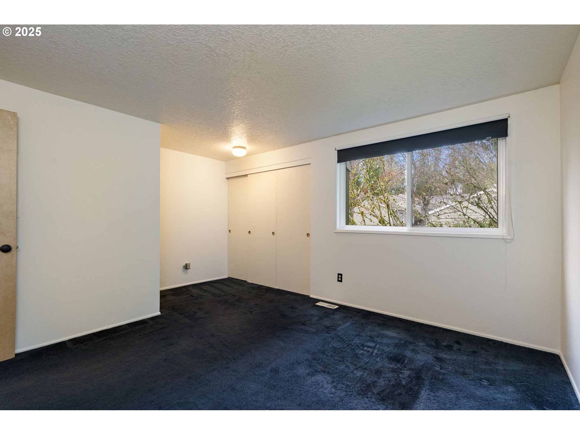 Photo #18: 212210843 Listing: Photo #18