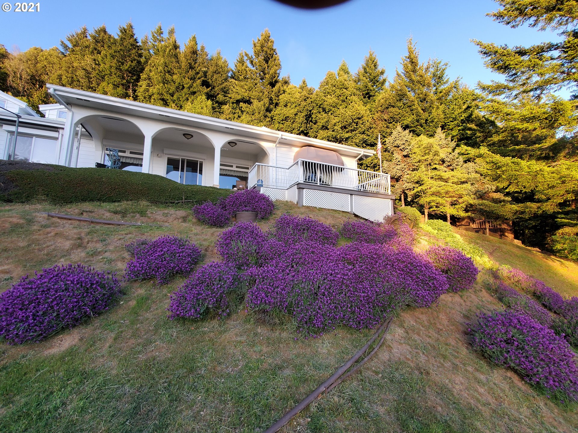 South Coast Real Estate