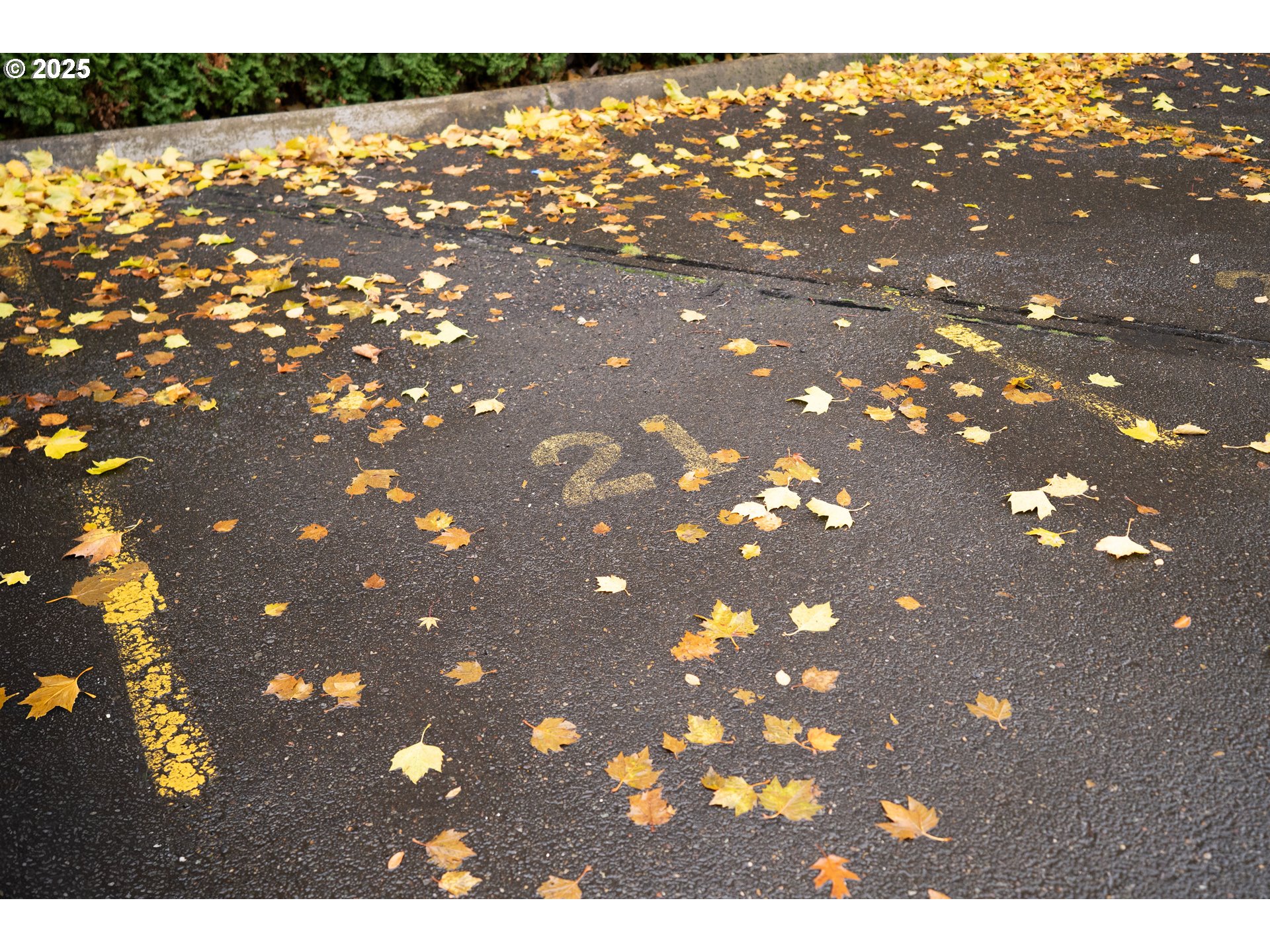 Photo #31: 212435545 Listing: Photo #31