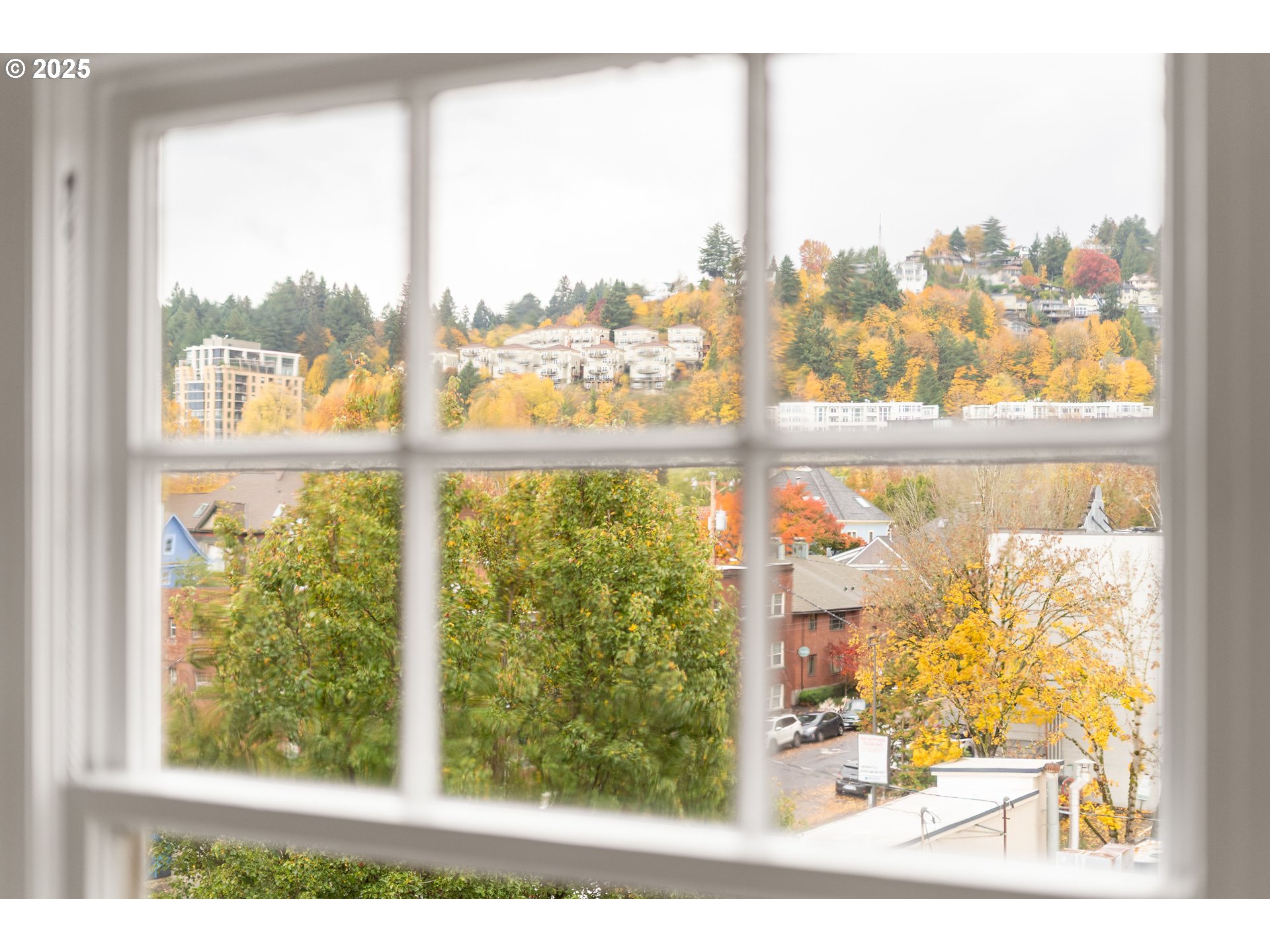 Photo #36: 212435545 Listing: Photo #36