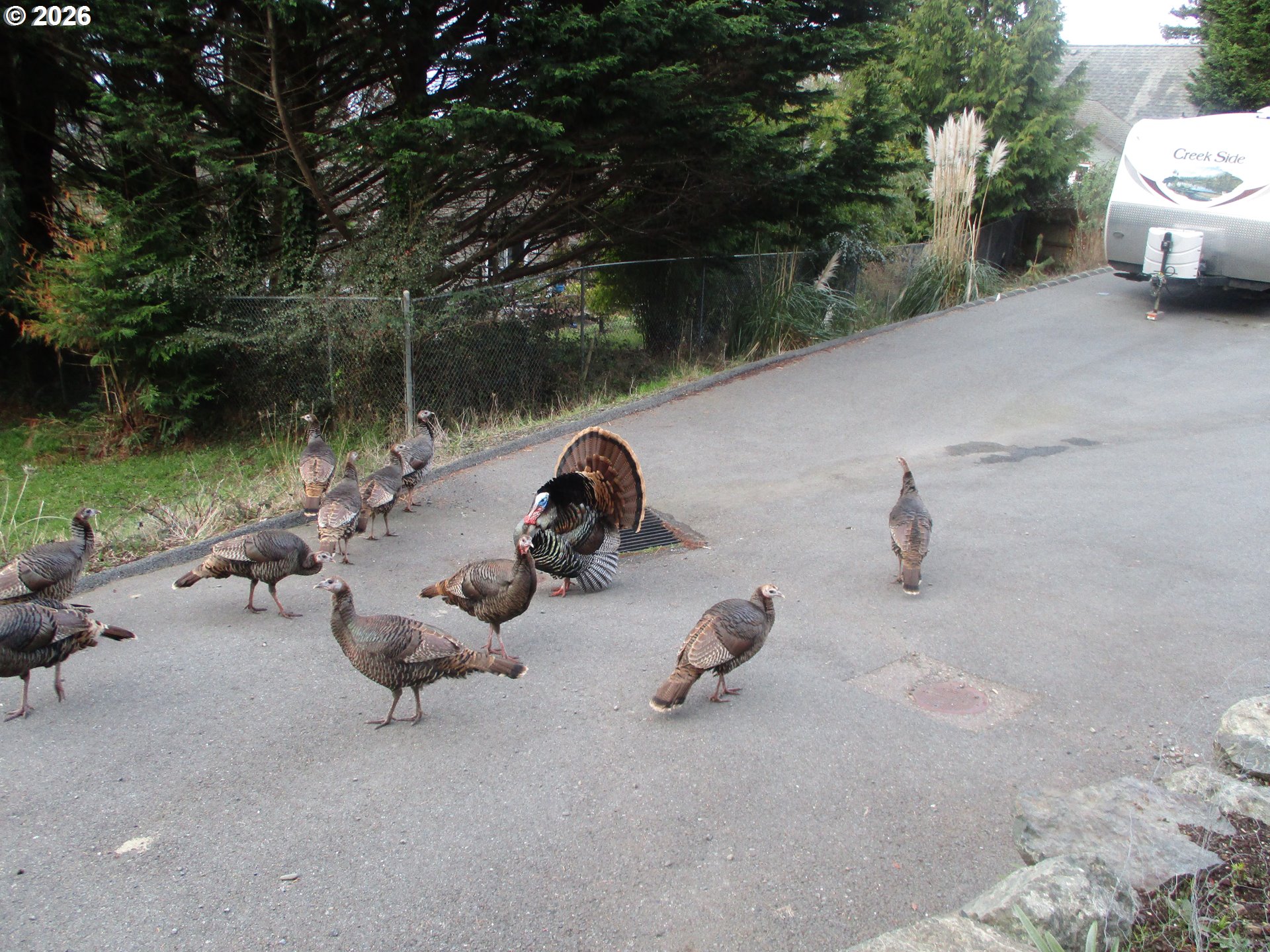 929 OLD COUNTY RD, Brookings, OR, 97415