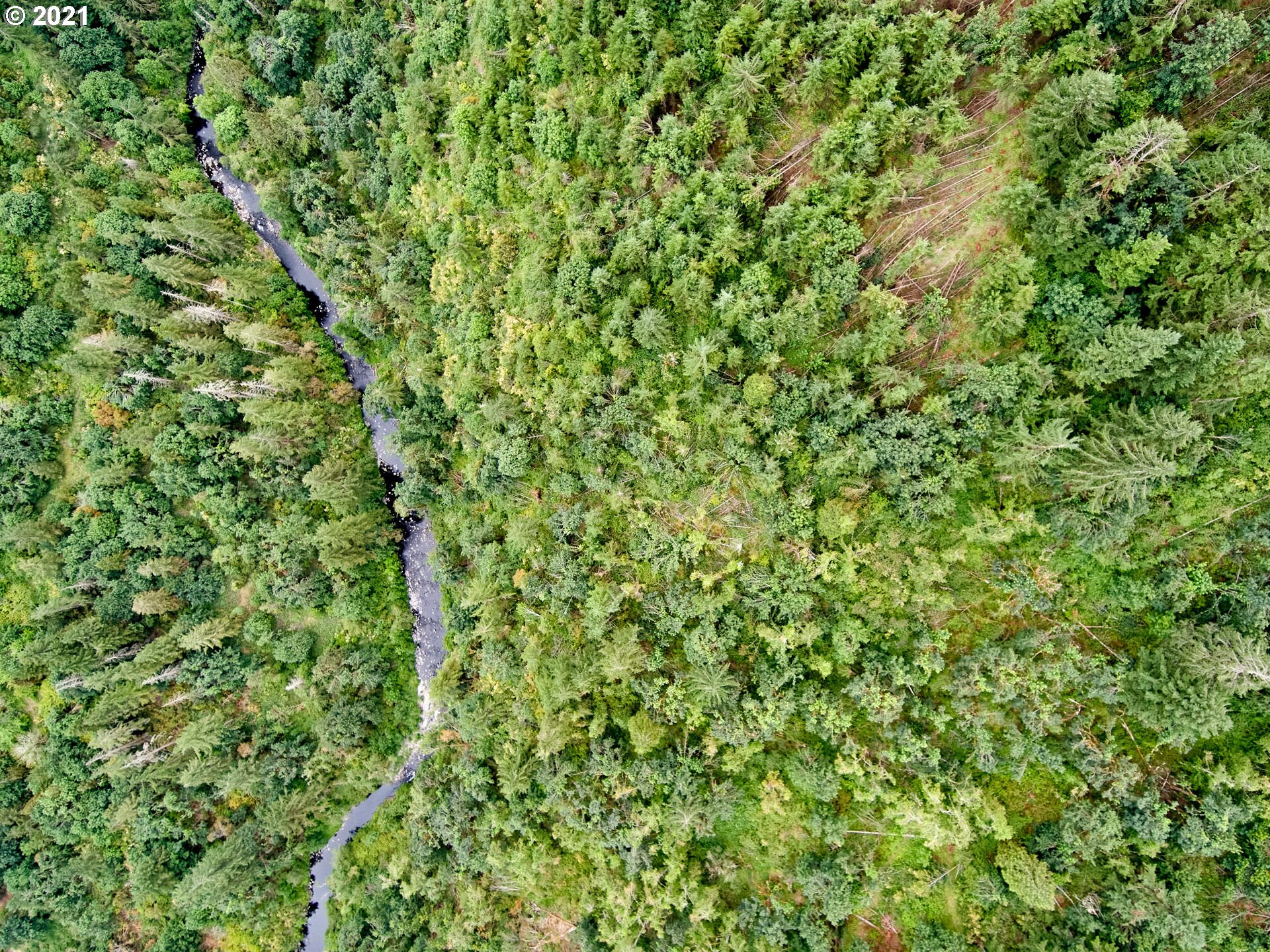 0 Silver Creek Canyon, Silverton, OR, 97381