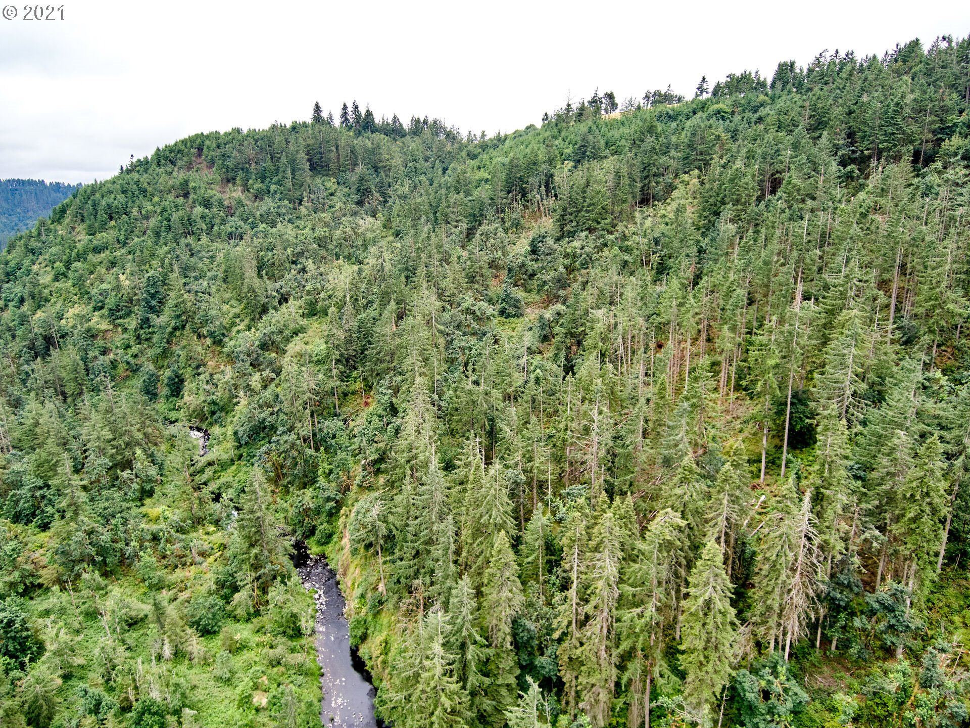 0 Silver Creek Canyon, Silverton, OR, 97381