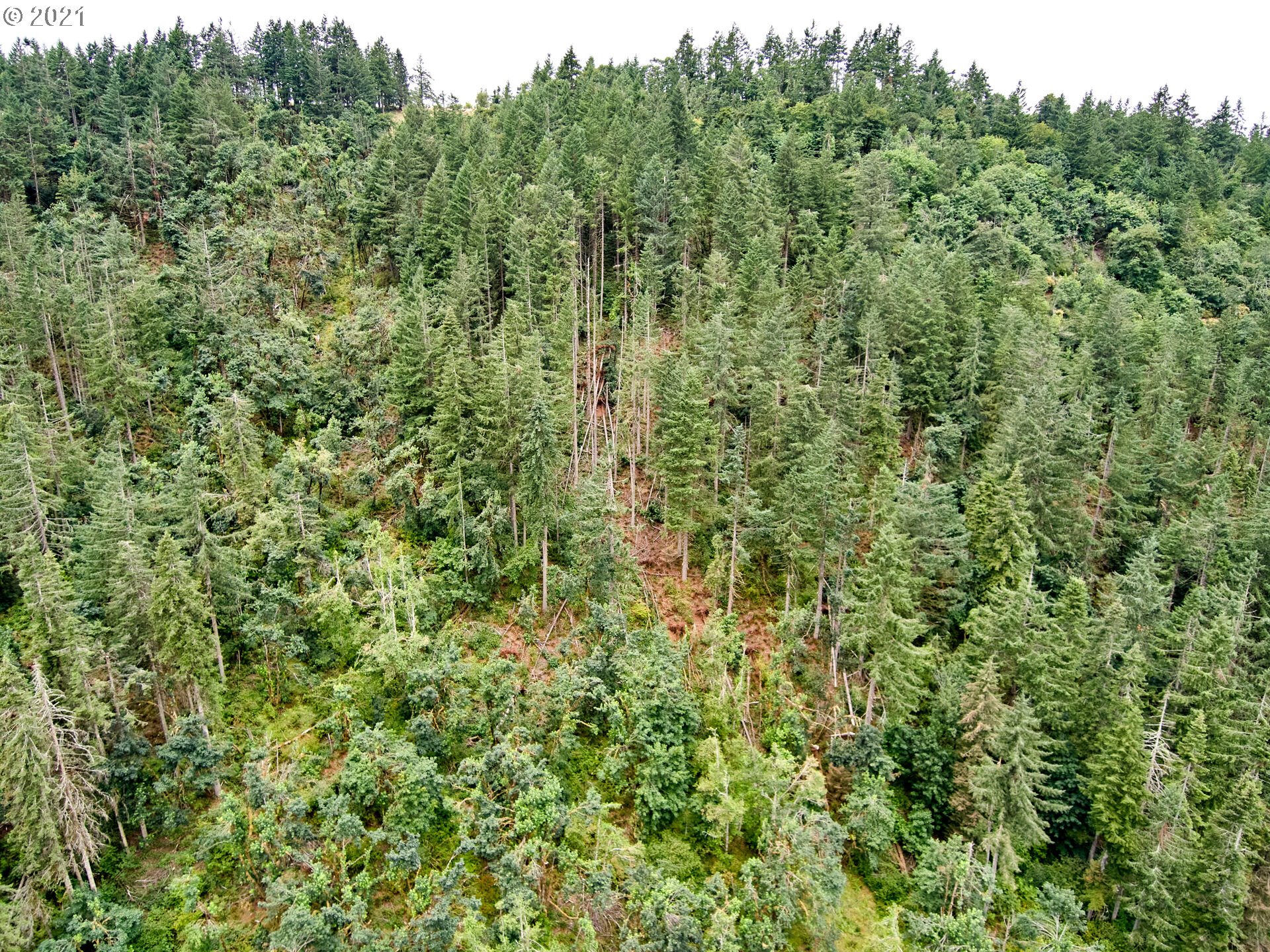 0 Silver Creek Canyon, Silverton, OR, 97381