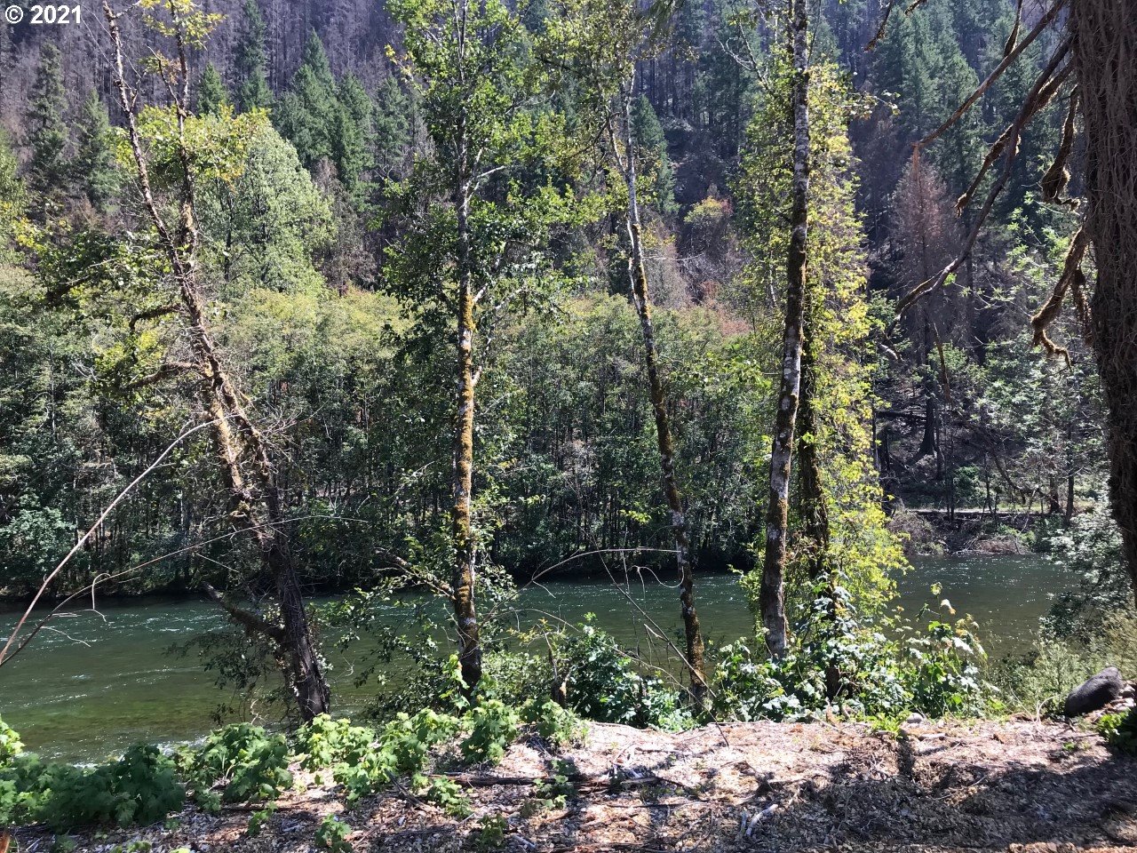 McKenzie HWY (1 of 16)