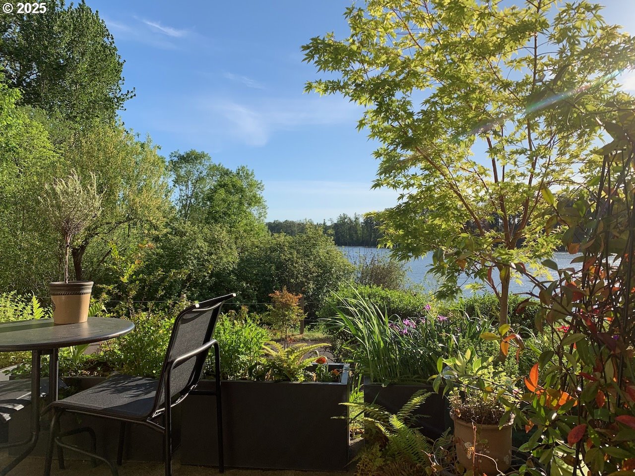 Photo #42: 212642447 Listing: Photo #42