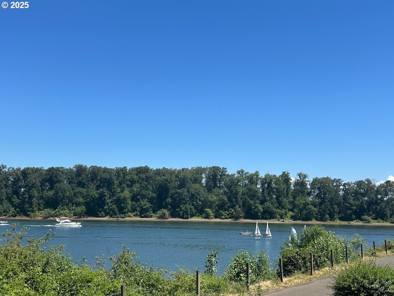 Photo #46: 212642447 Listing: Photo #46