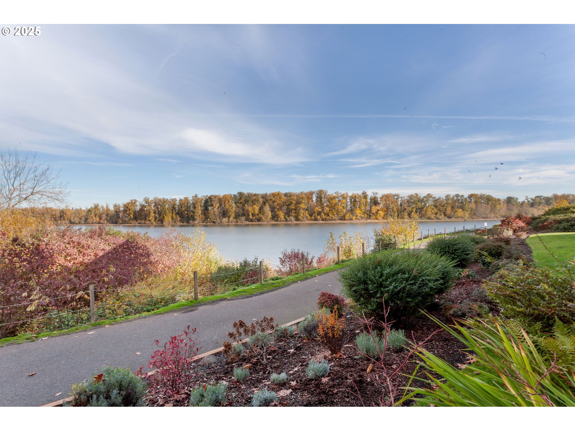 Photo #4: 212642447 Listing: Photo #4