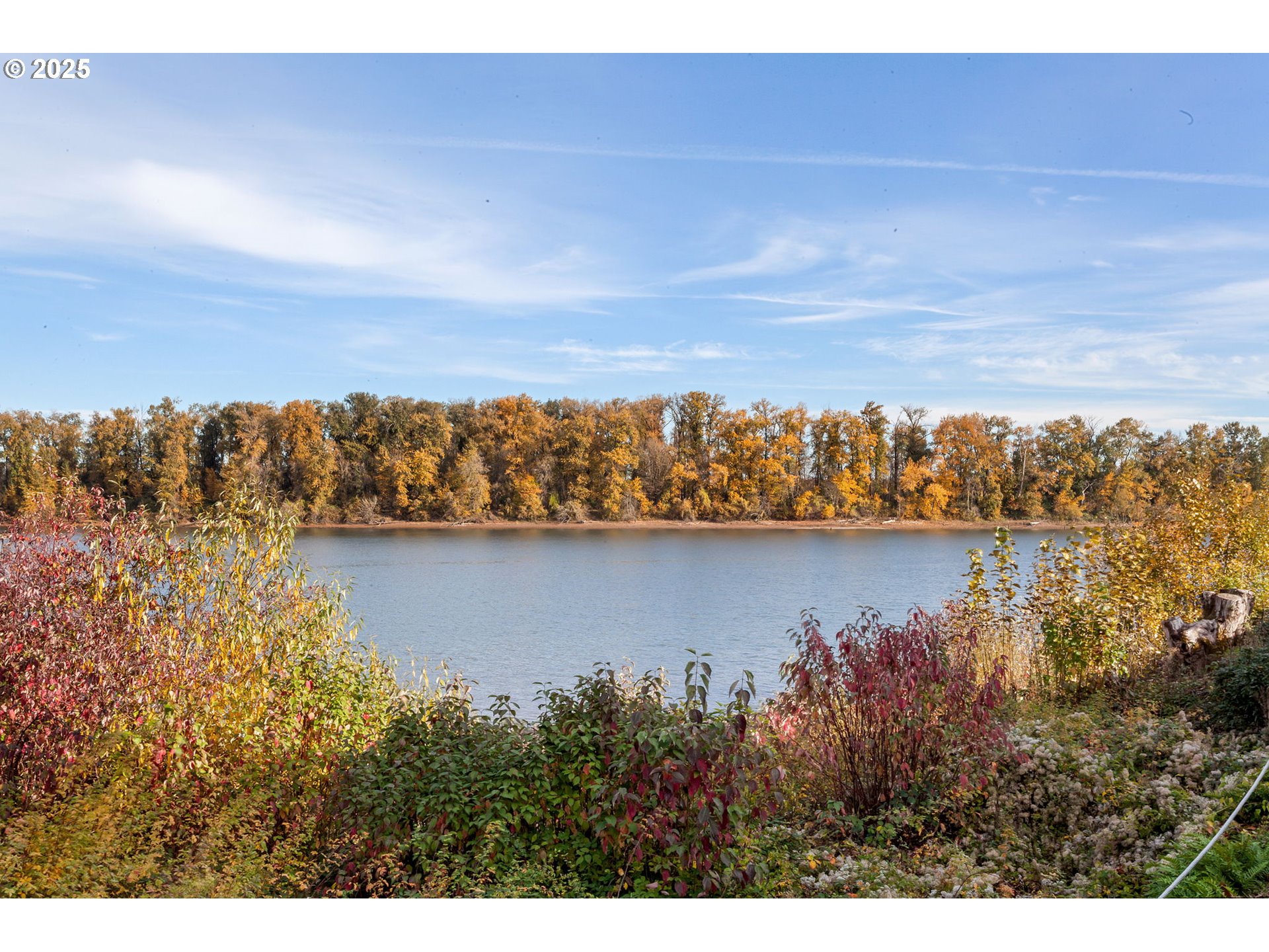 Photo #7: 212642447 Listing: Photo #7