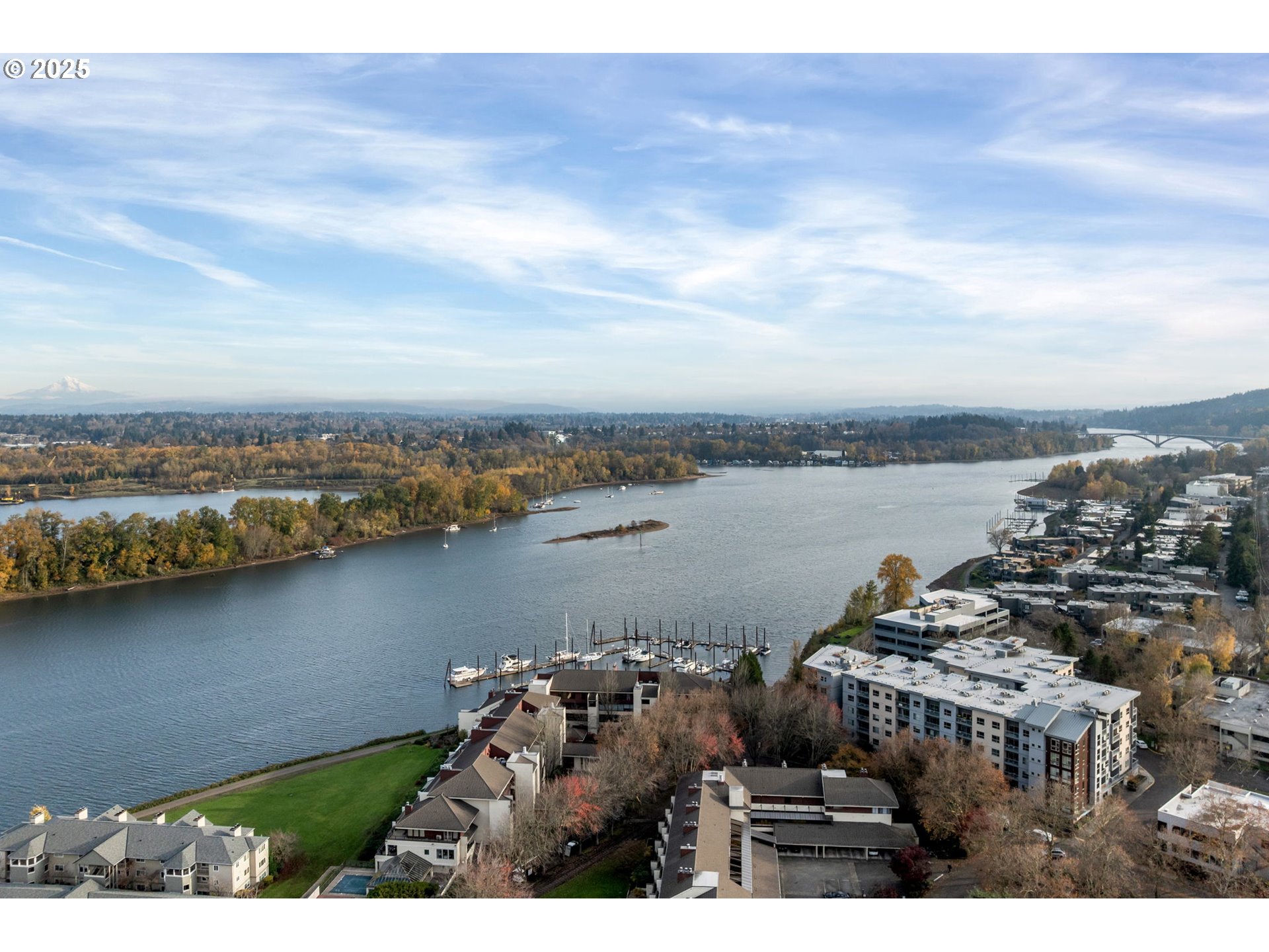 Photo #40: 212642447 Listing: Photo #40