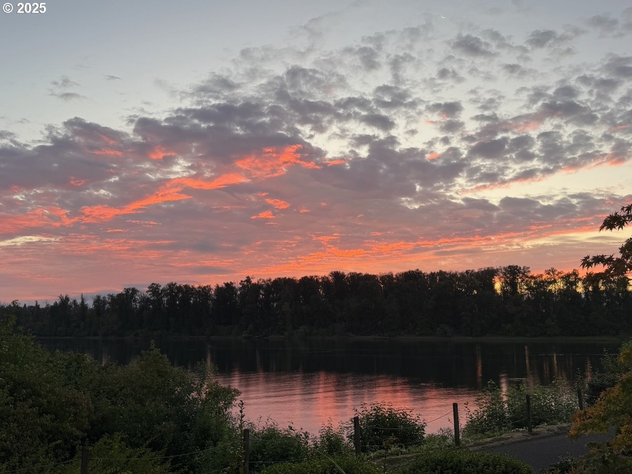 Photo #41: 212642447 Listing: Photo #41