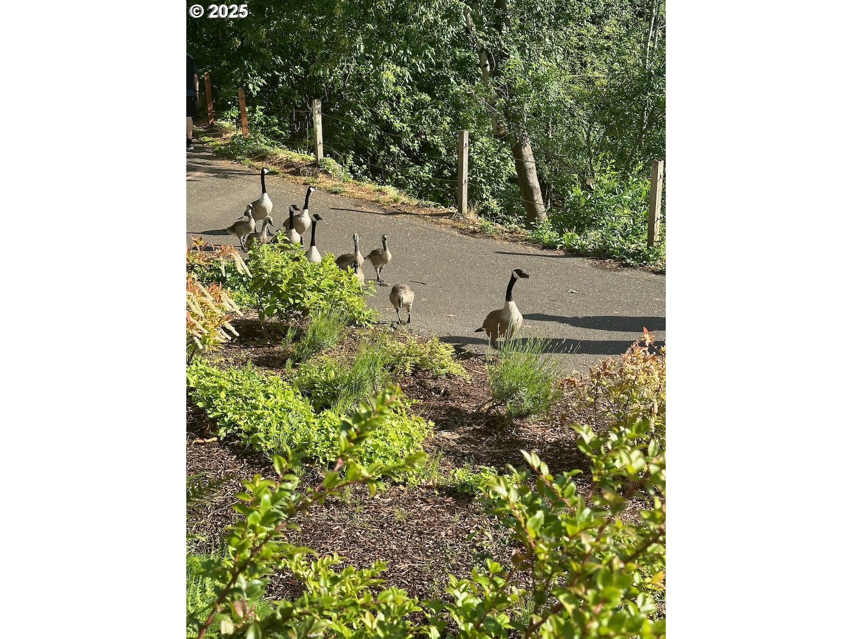 Photo #43: 212642447 Listing: Photo #43