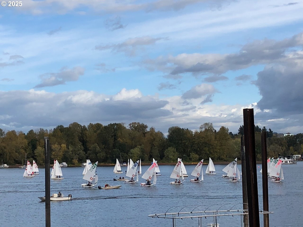 Photo #48: 212642447 Listing: Photo #48