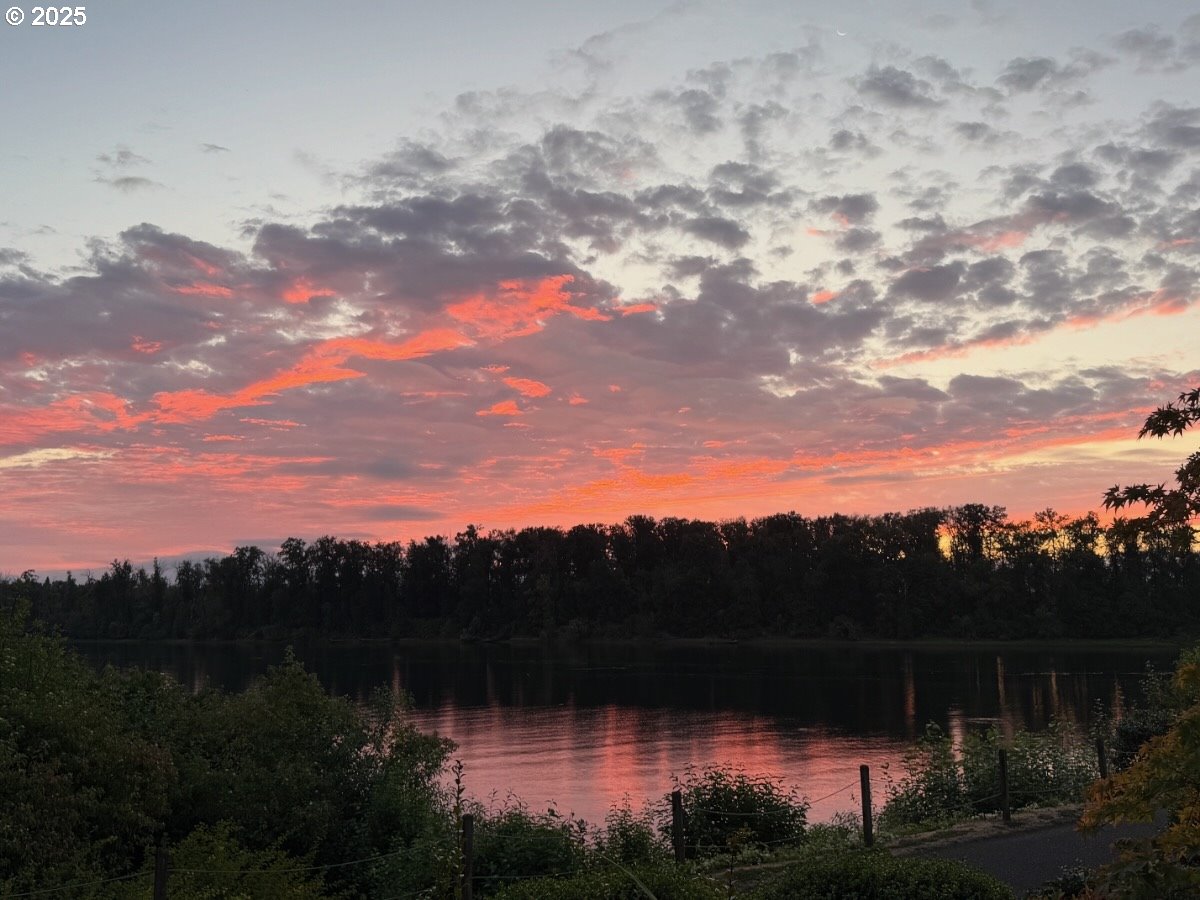 Photo #47: 212642447 Listing: Photo #47