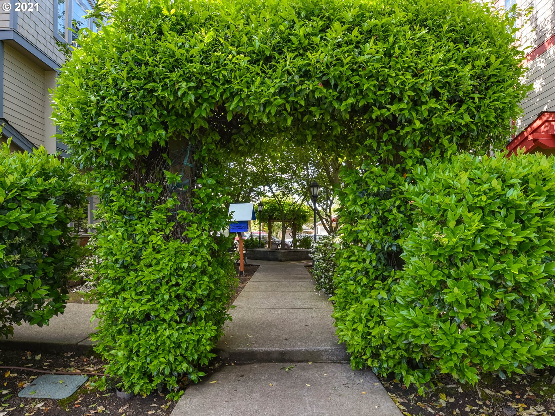 Photo #3: 21265192 Listing 