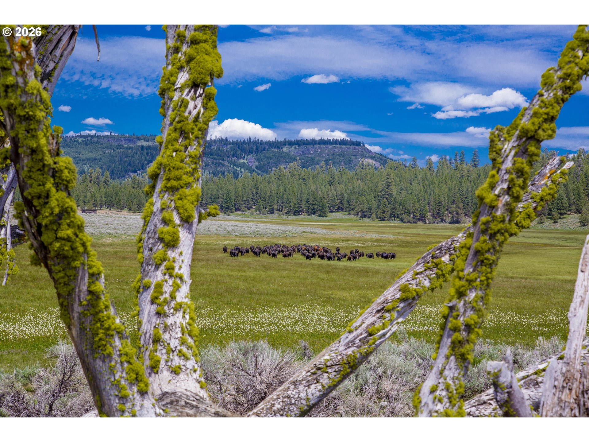 0 Fishhole Creek RD, Bly, OR, 97622