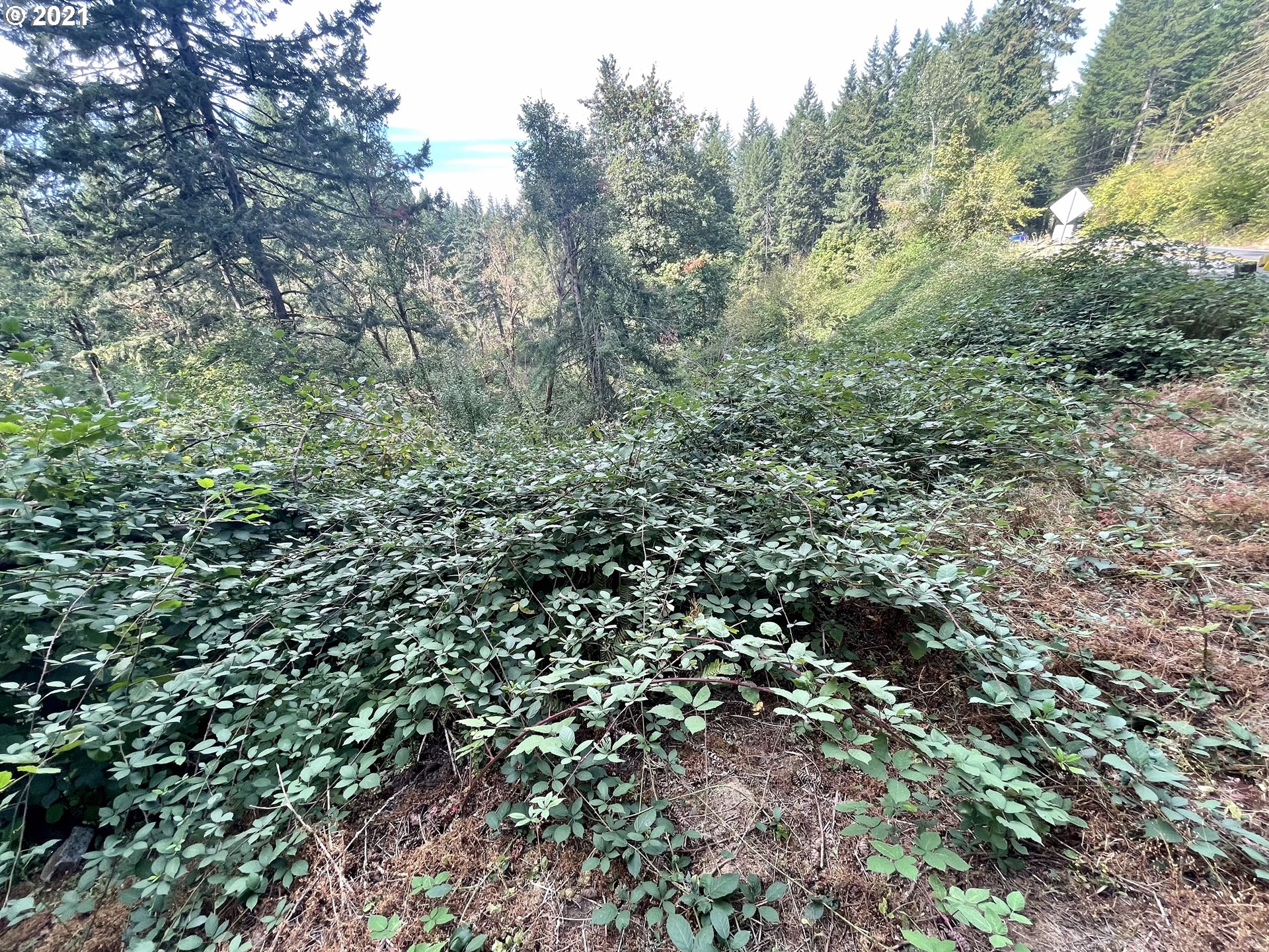 17455 S BRADLEY RD (1 of 14)