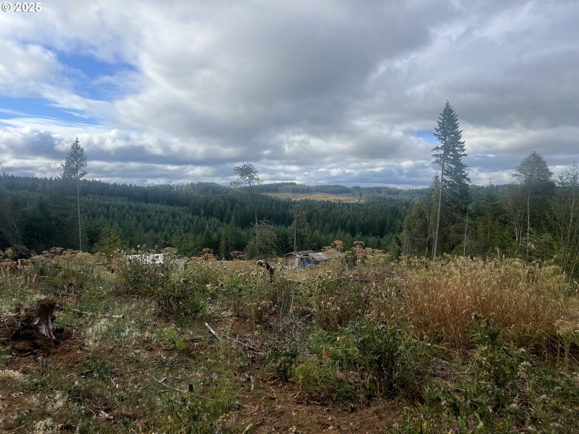 89975 SHEFFLER RD, Elmira, OR, 97437 89975 SHEFFLER RD, Elmira, OR, 97437