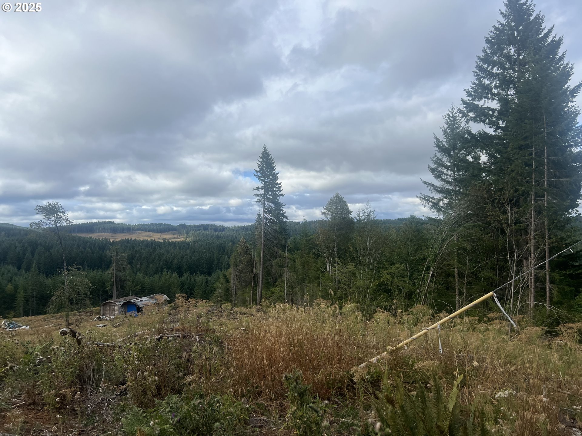 89975 SHEFFLER RD, Elmira, OR, 97437 89975 SHEFFLER RD, Elmira, OR, 97437