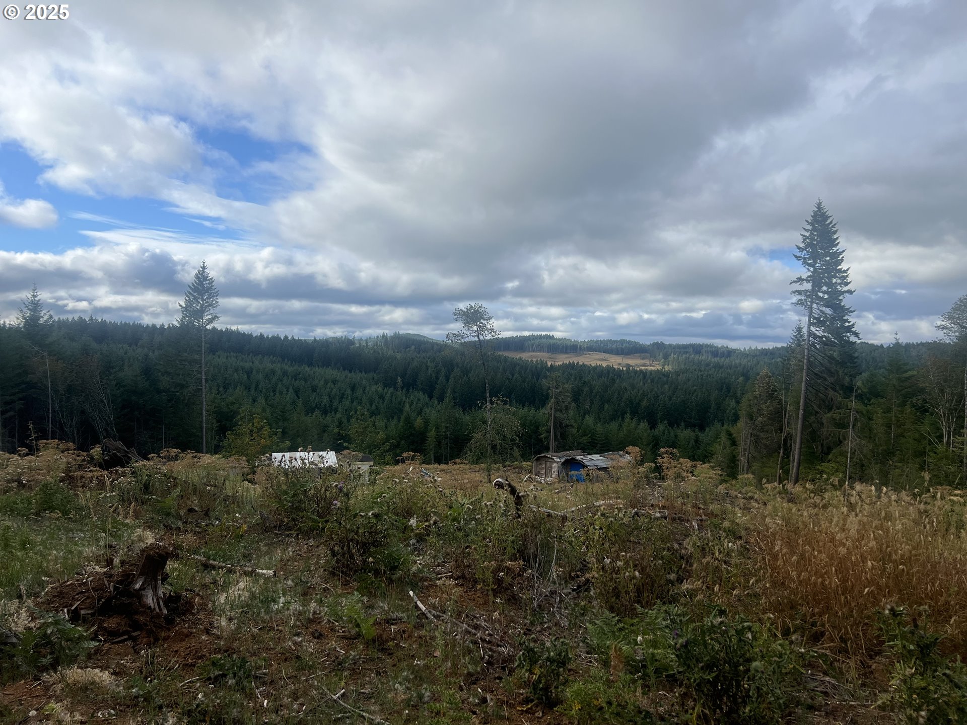 89975 SHEFFLER RD, Elmira, OR, 97437 89975 SHEFFLER RD, Elmira, OR, 97437