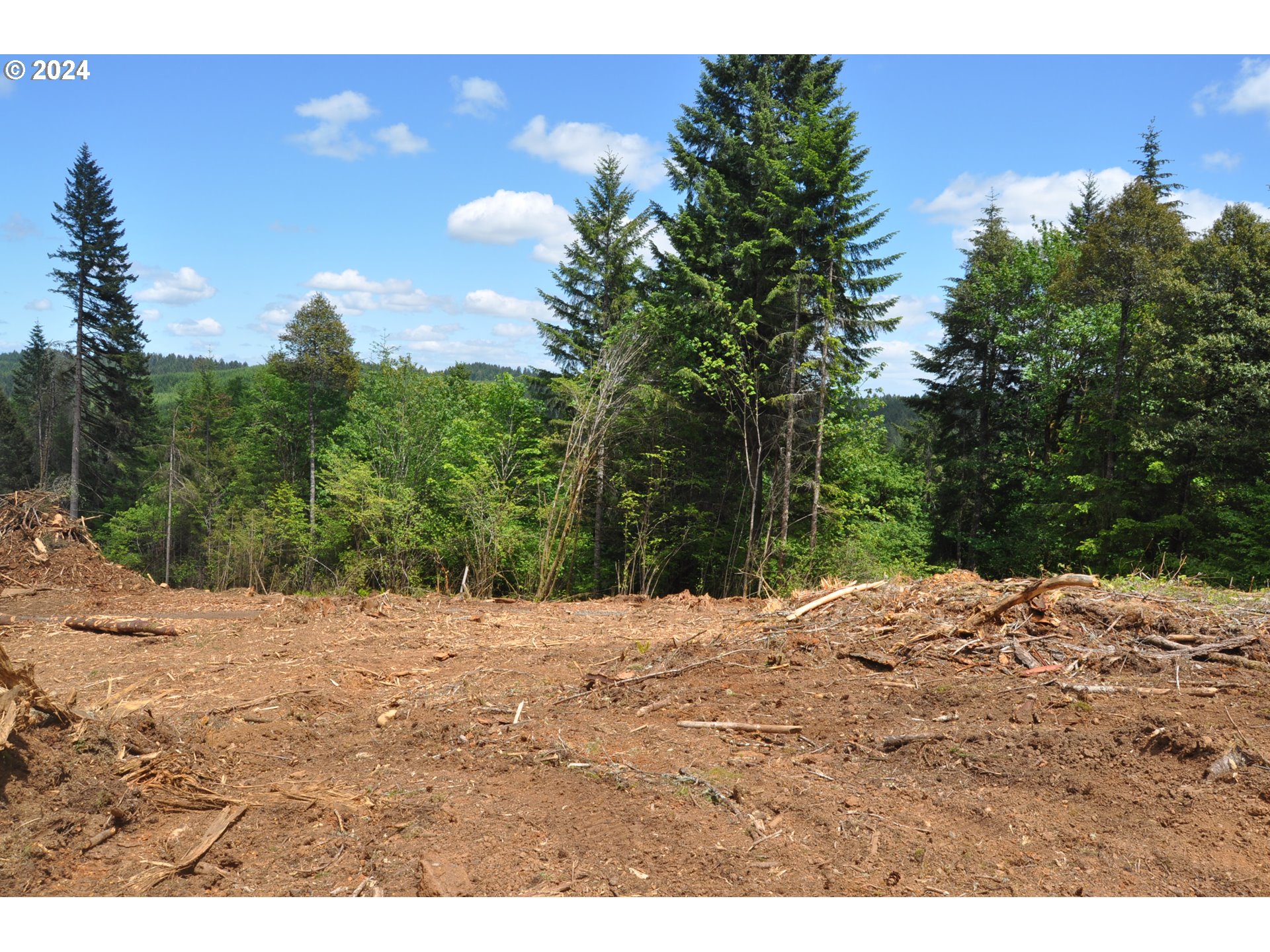 89975 SHEFFLER RD, Elmira, OR, 97437 89975 SHEFFLER RD, Elmira, OR, 97437