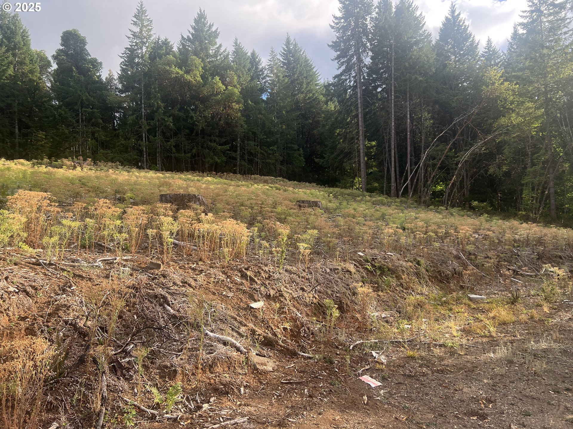 89975 SHEFFLER RD, Elmira, OR, 97437 89975 SHEFFLER RD, Elmira, OR, 97437