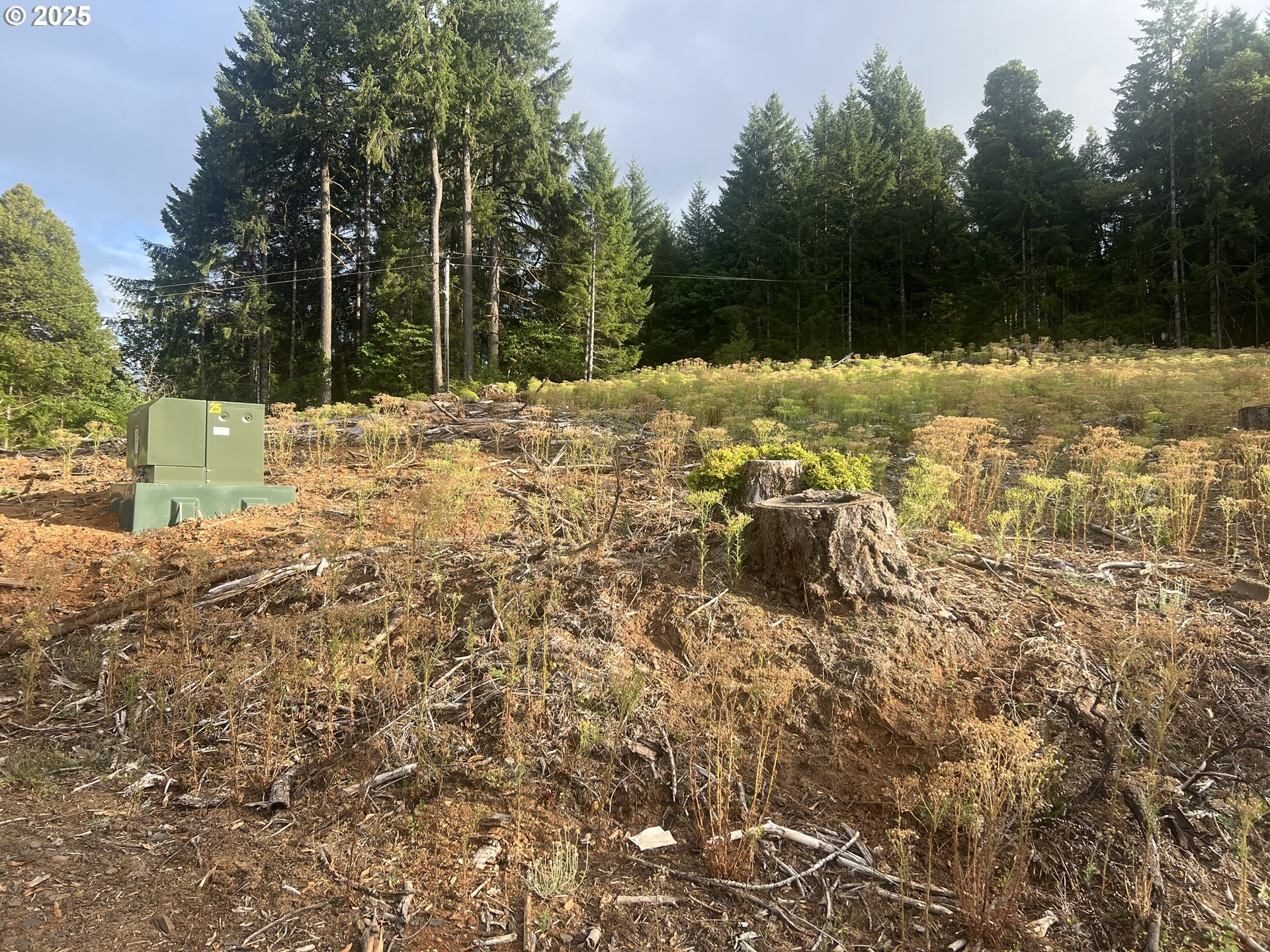 89975 SHEFFLER RD, Elmira, OR, 97437 89975 SHEFFLER RD, Elmira, OR, 97437