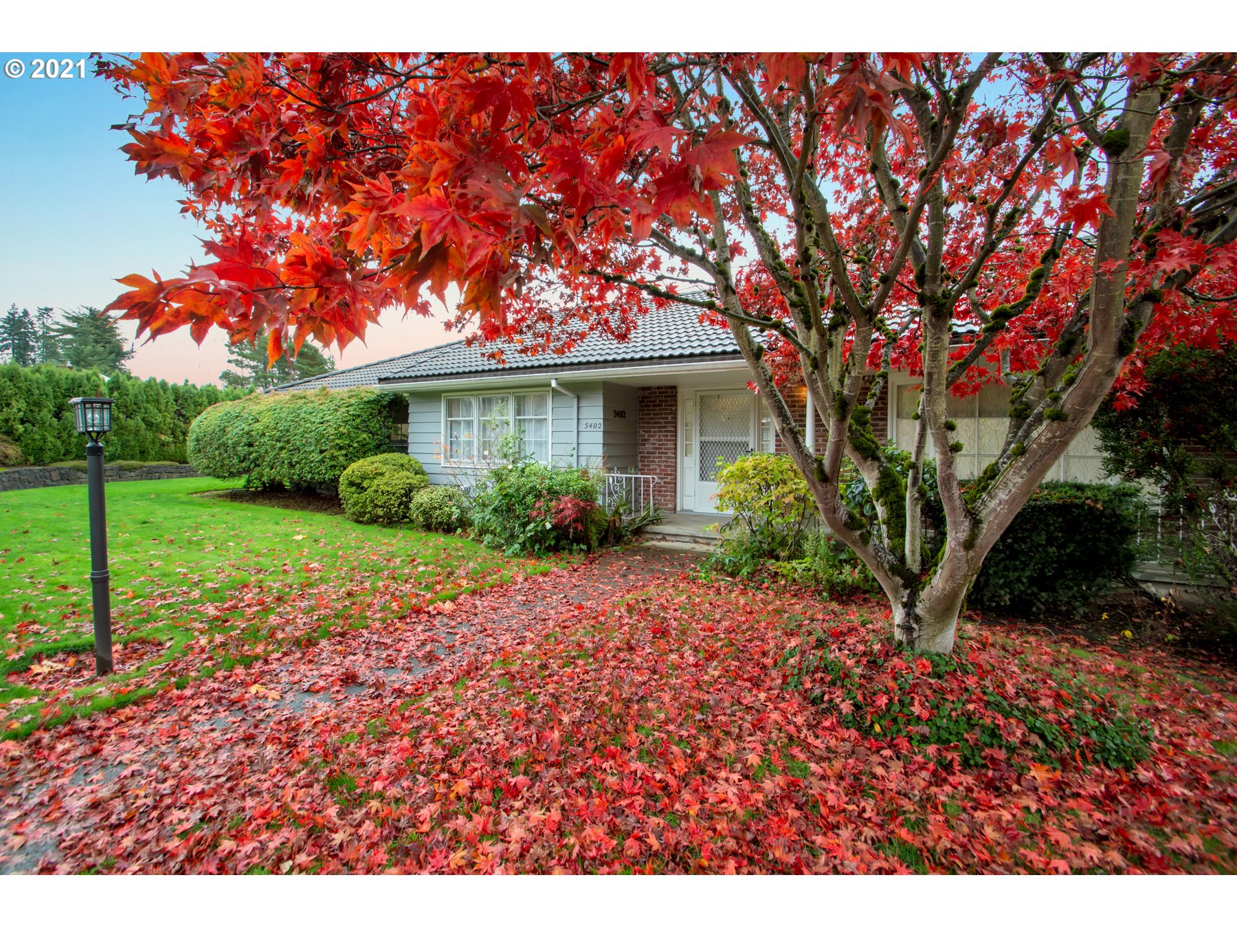 Photo #2: 21401225 Listing 