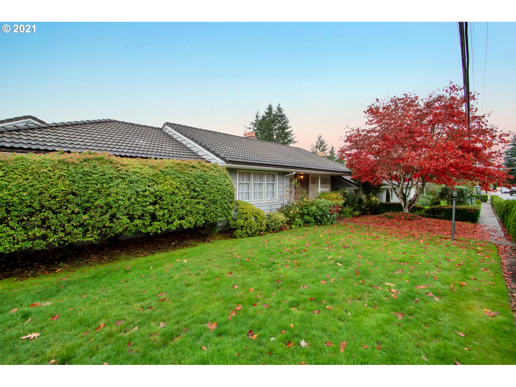 Photo #3: 21401225 Listing 