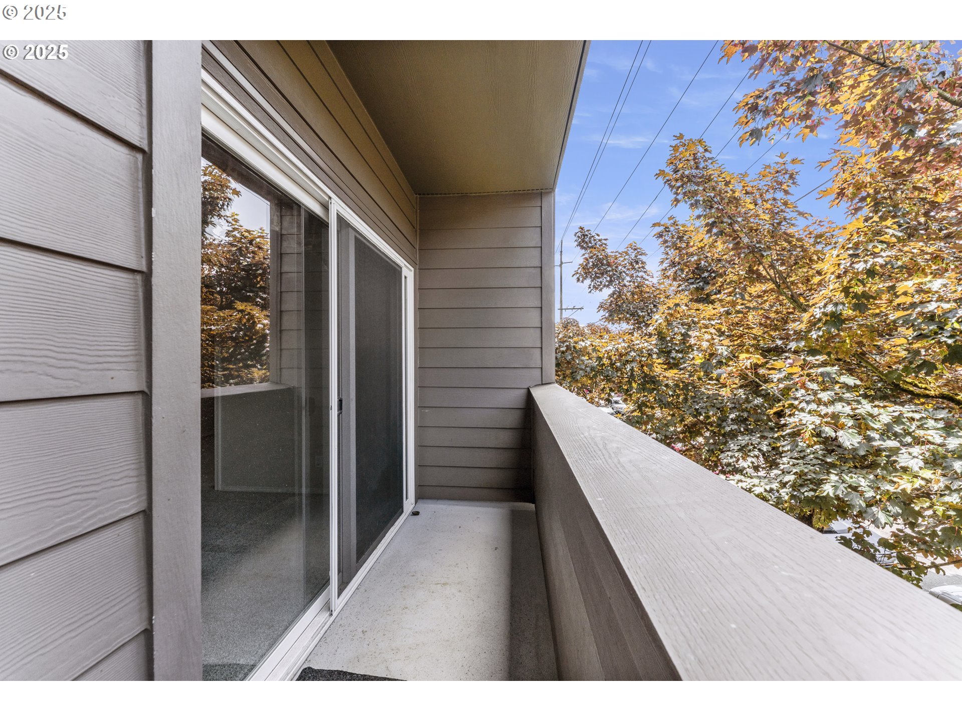 Photo #18: 214145358 Listing: Photo #18