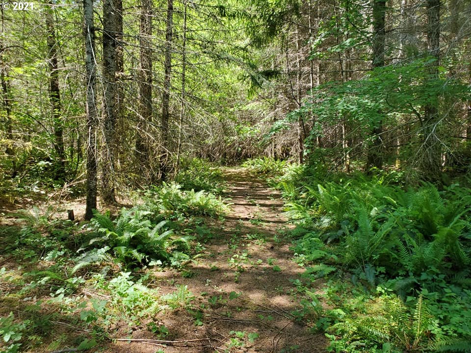 Nw Midway Dr Timber Or Mls Home For Sale