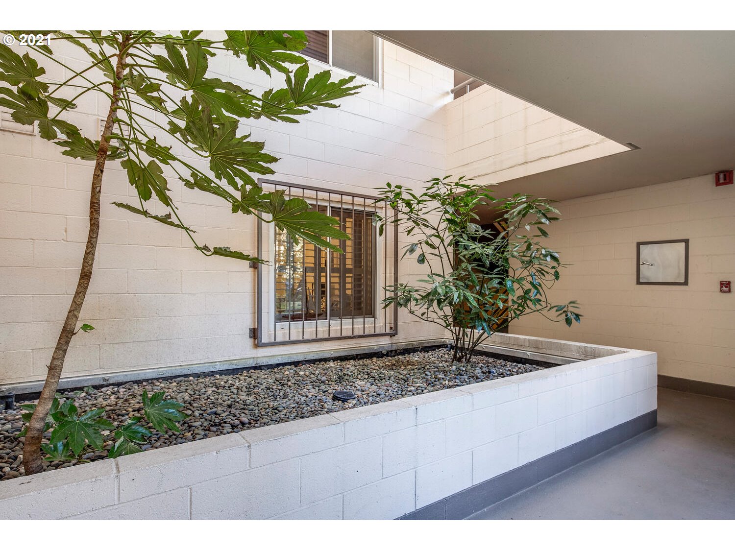 Photo #5: 21463536 Listing 