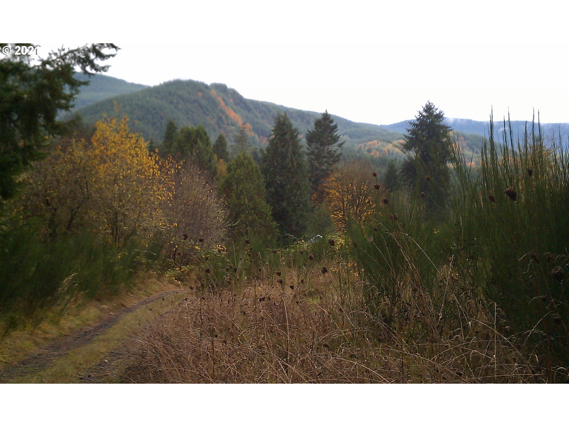 21629 SWEDETOWN RD, Clatskanie OR 97016 House for Sale in Clatskanie