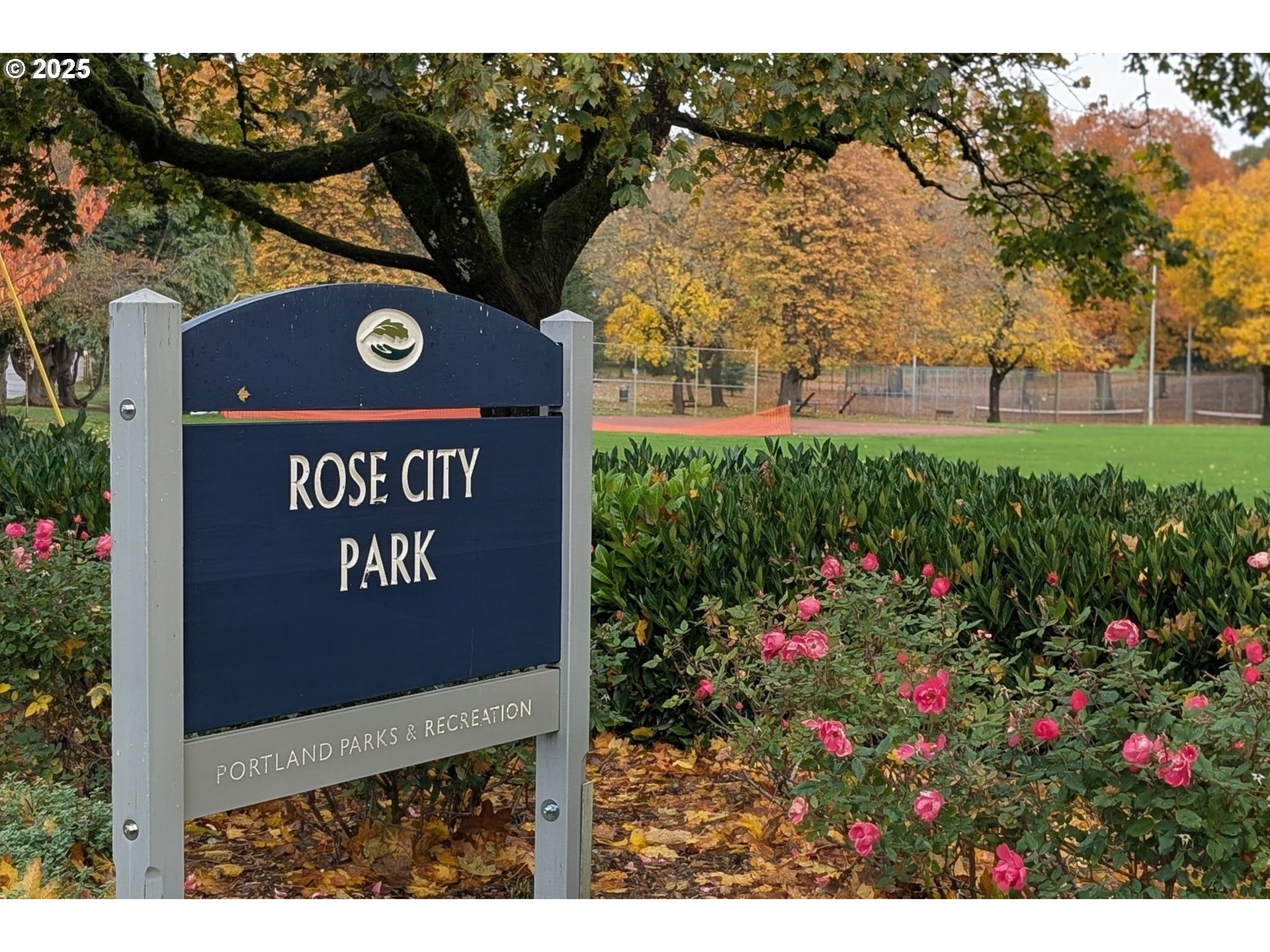 Photo #17: 214754200 Listing: Photo #17