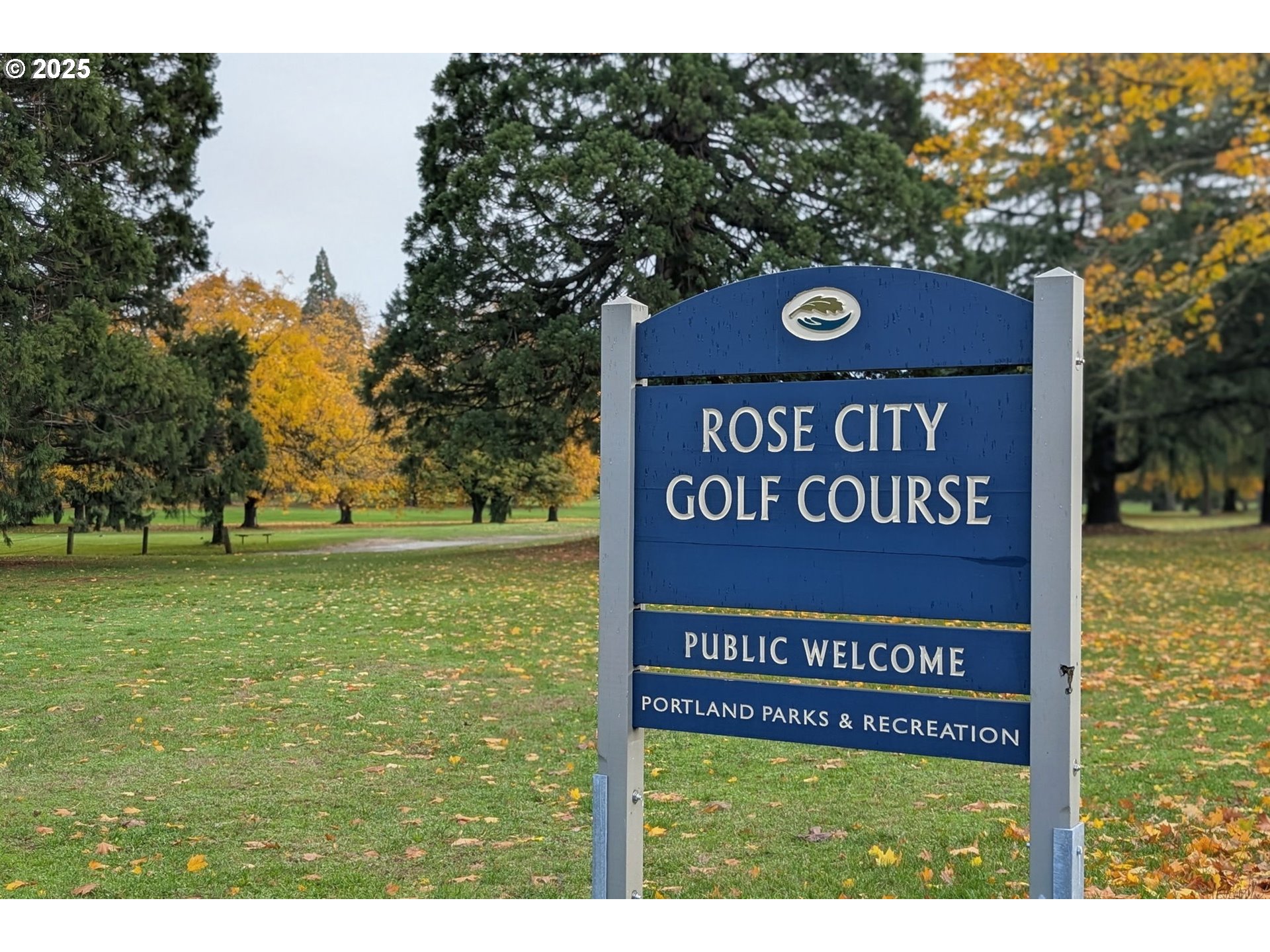 Photo #16: 214754200 Listing: Photo #16