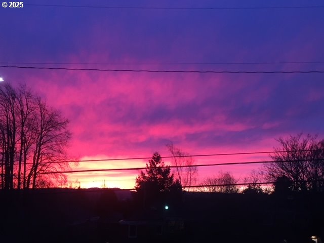 Photo #11: 214754200 Listing: Photo #11