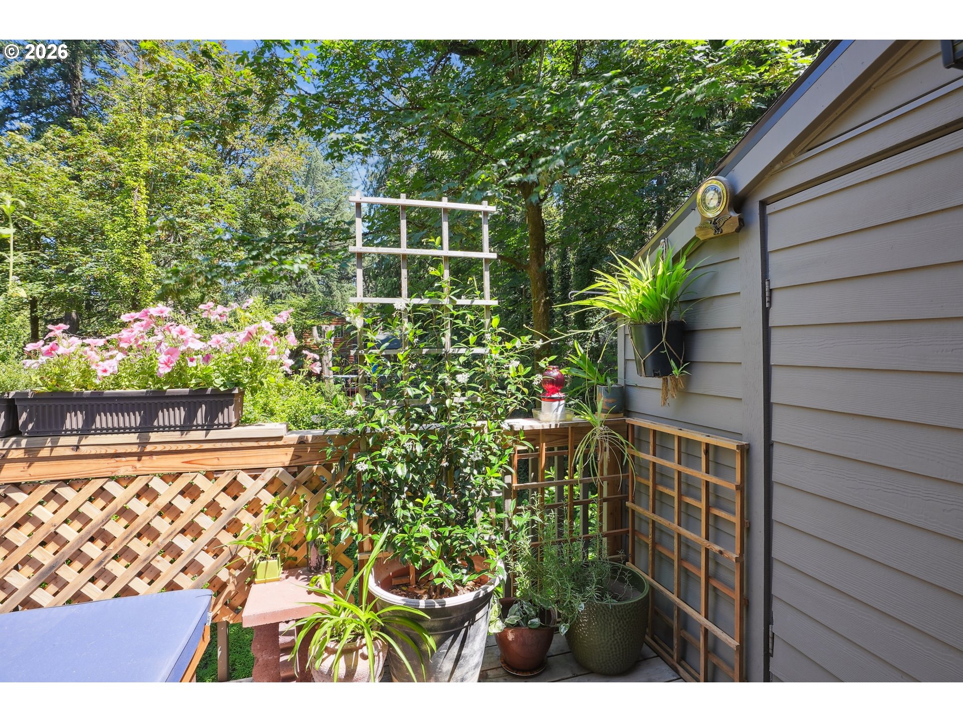 Photo #12: 215385451 Listing: Photo #12