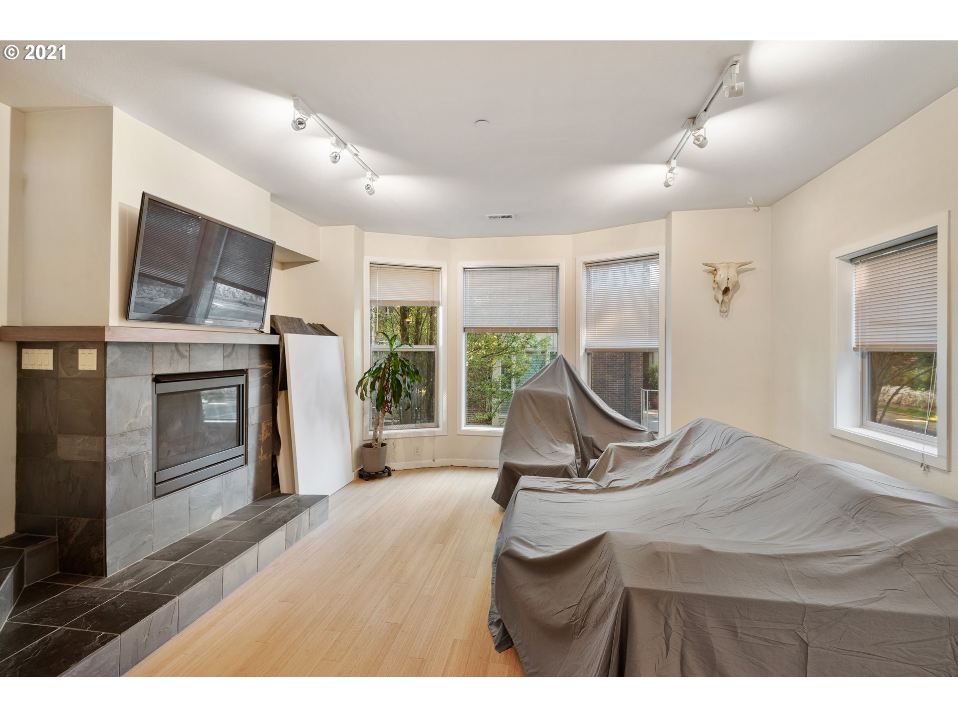 Photo #3: 21600919 Listing 
