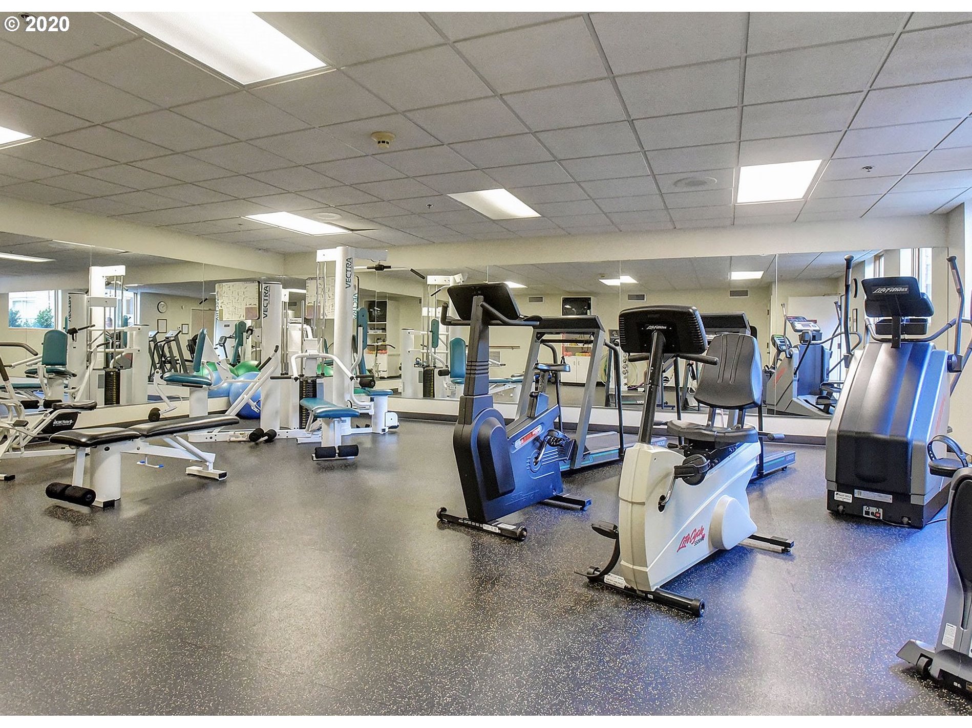 Photo #5: 21602432 Listing 